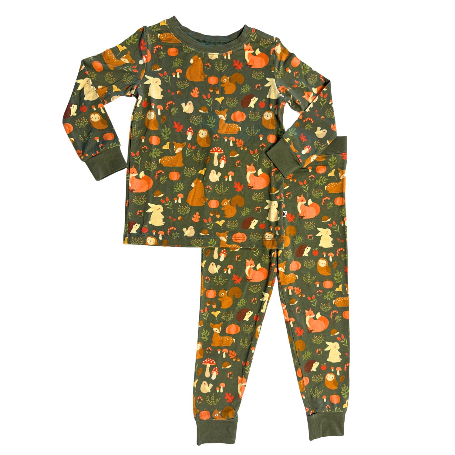 Two Piece Pajama Set