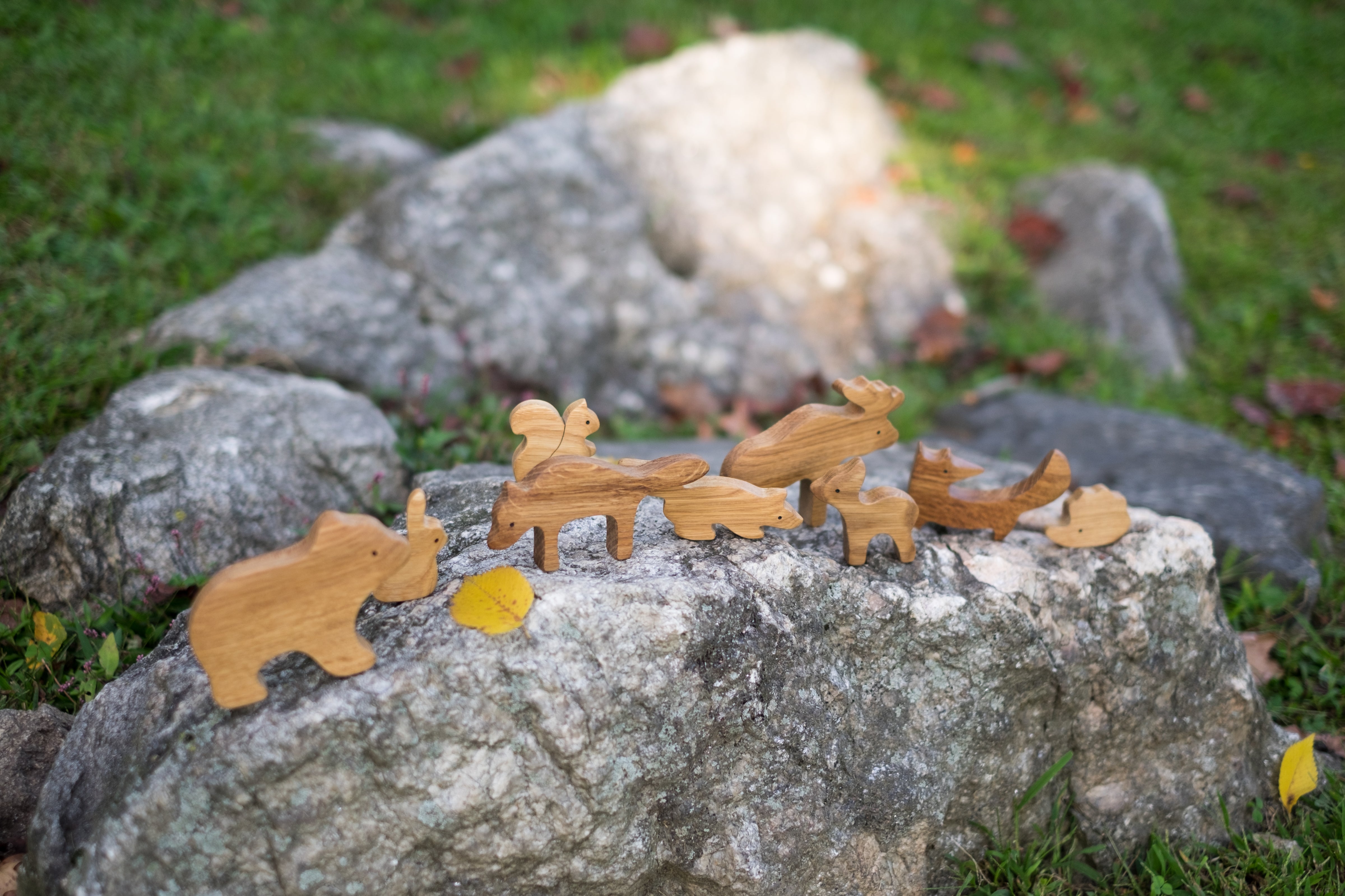 Natural Wooden Forest Animals Set Of 9