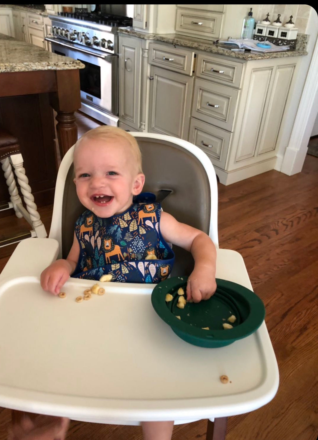 Lion Silicone Bib With Crumb Catcher
