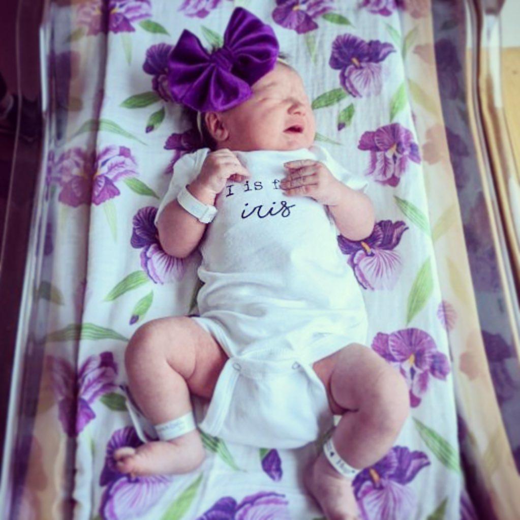 Gift Set: Irises Baby Muslin Swaddle Blanket And Burp Cloth/bib Combo