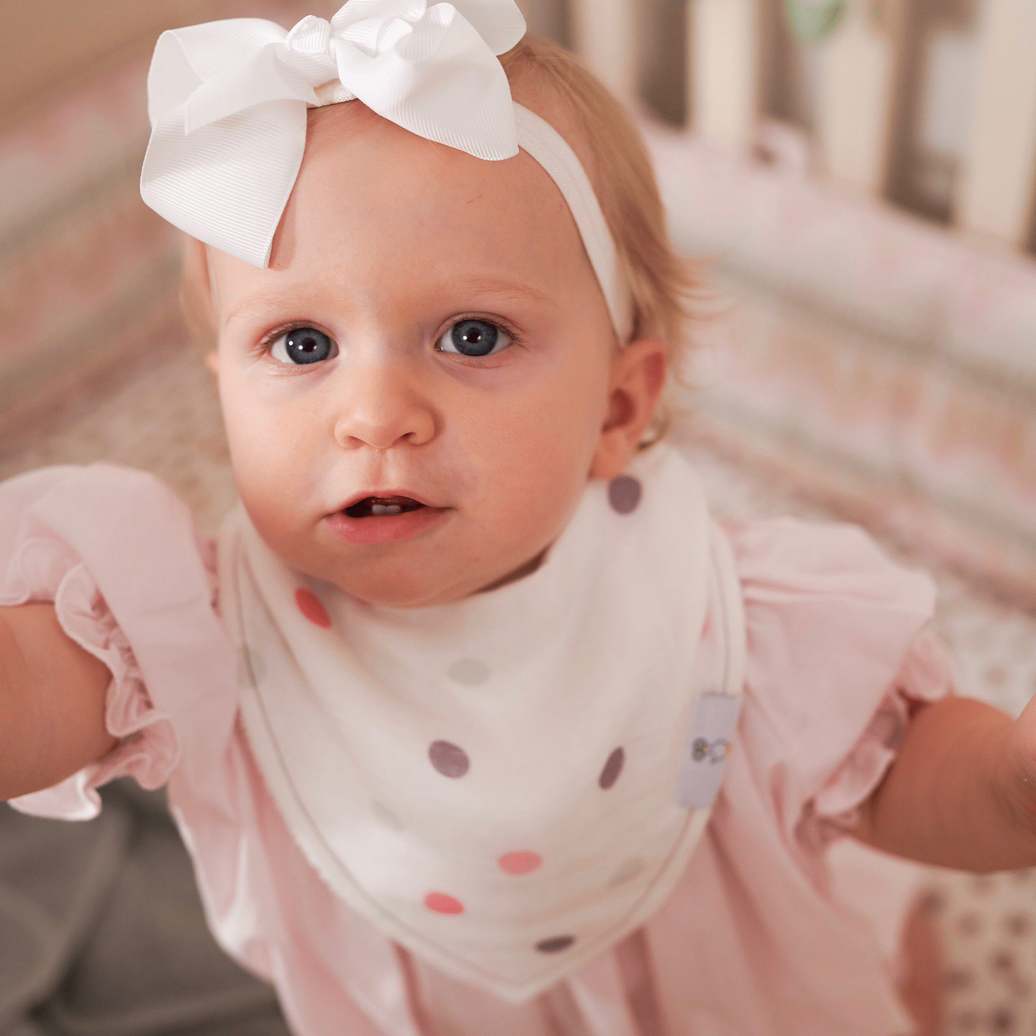 Mom And Dots 2 Pack Muslin & Terry Cloth Bib Set