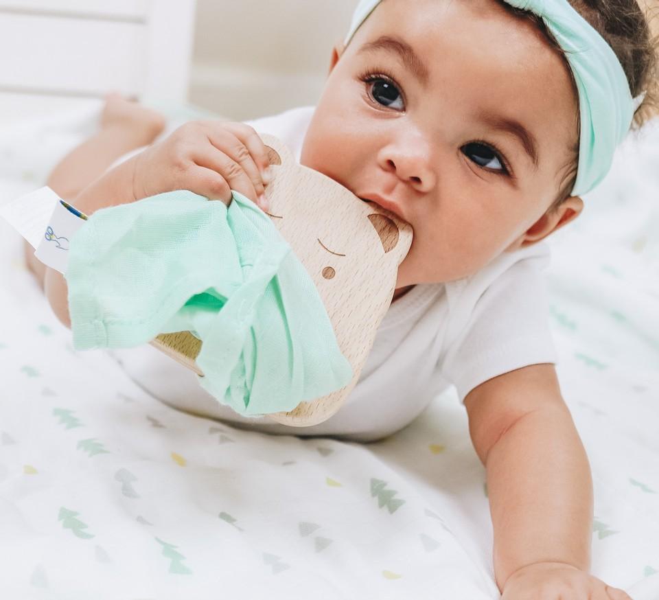 Bear And Mint Wooden Teether & Blankie
