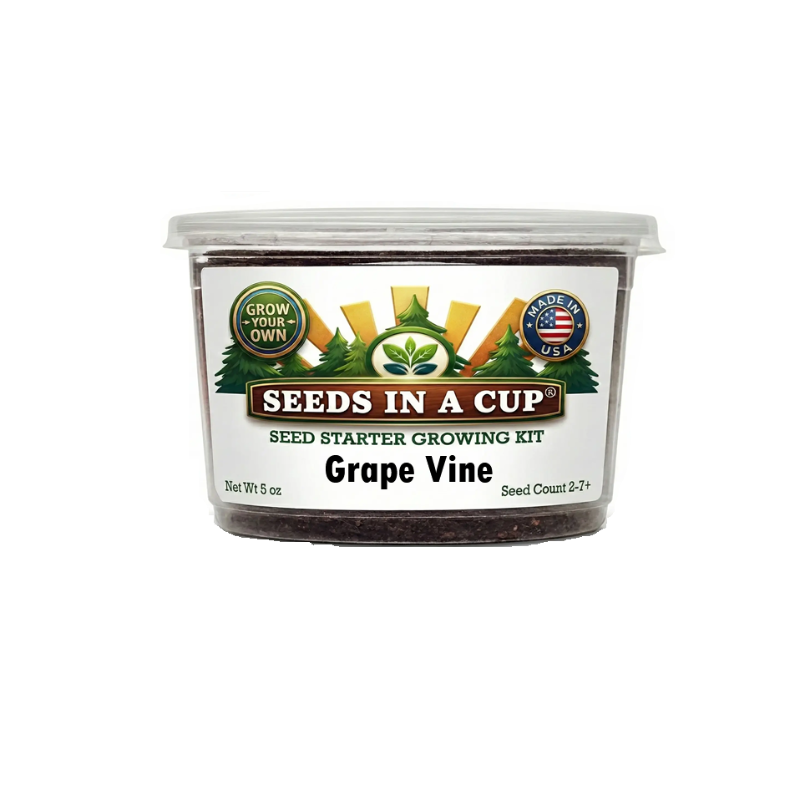 Original Tree Grow Kit- Multiple Varieties