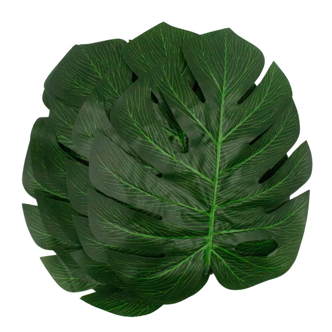 Monstera Tropical Leaves