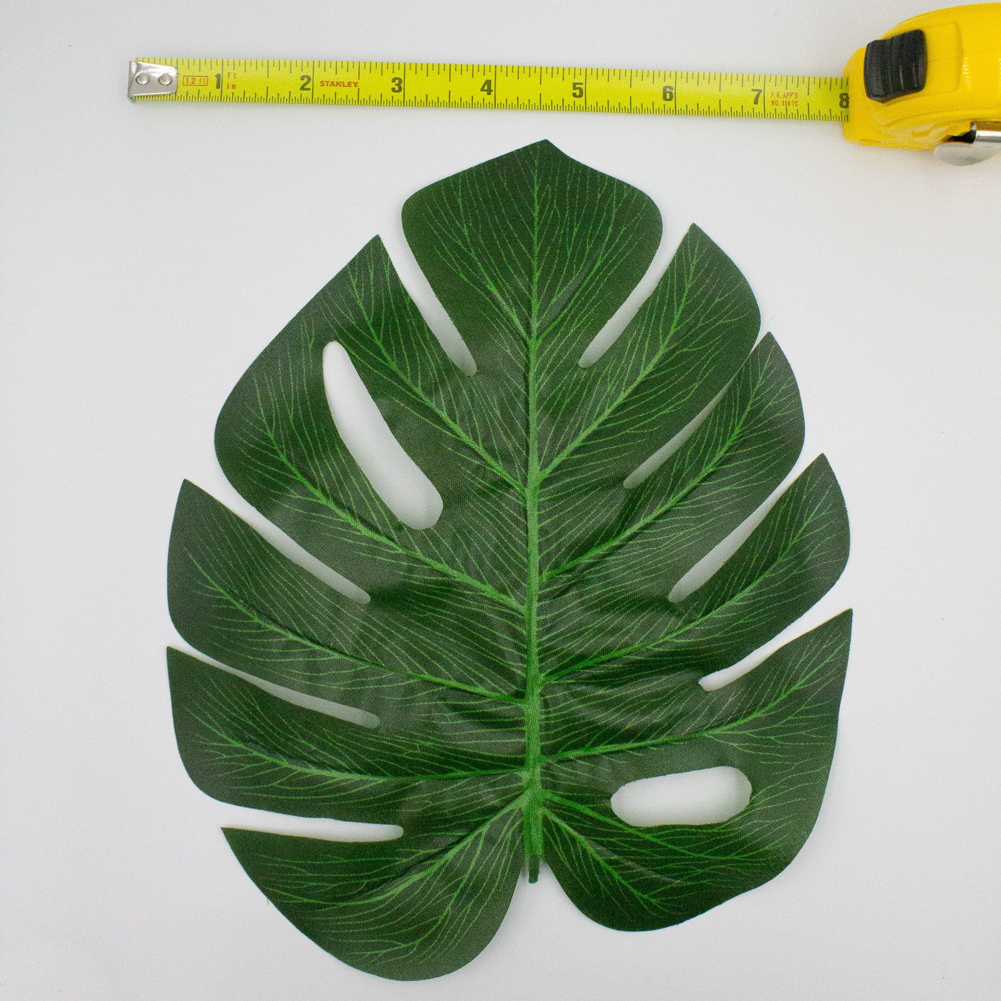 Monstera Tropical Leaves