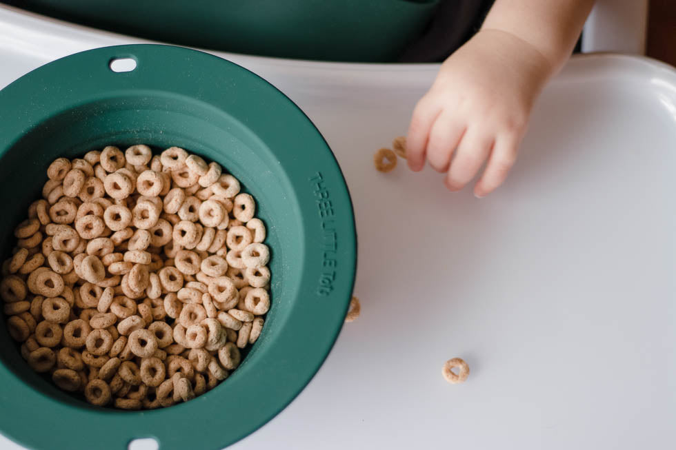 Forest Green Collapsible Bowl For Travel Or Home