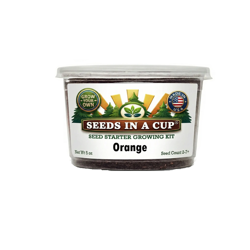 Original Tree Grow Kit- Multiple Varieties