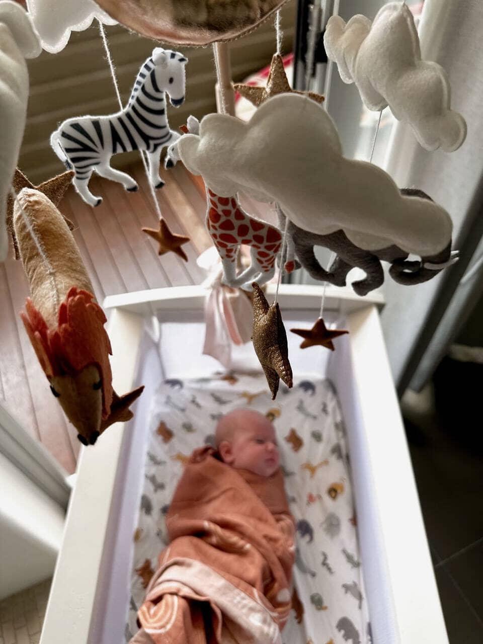 Handmade Baby Mobile | Safari