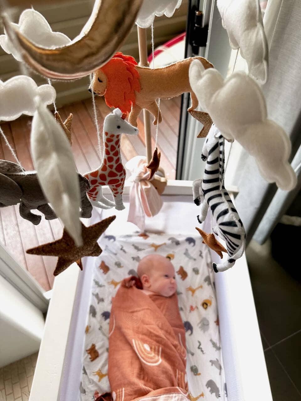 Handmade Baby Mobile | Safari