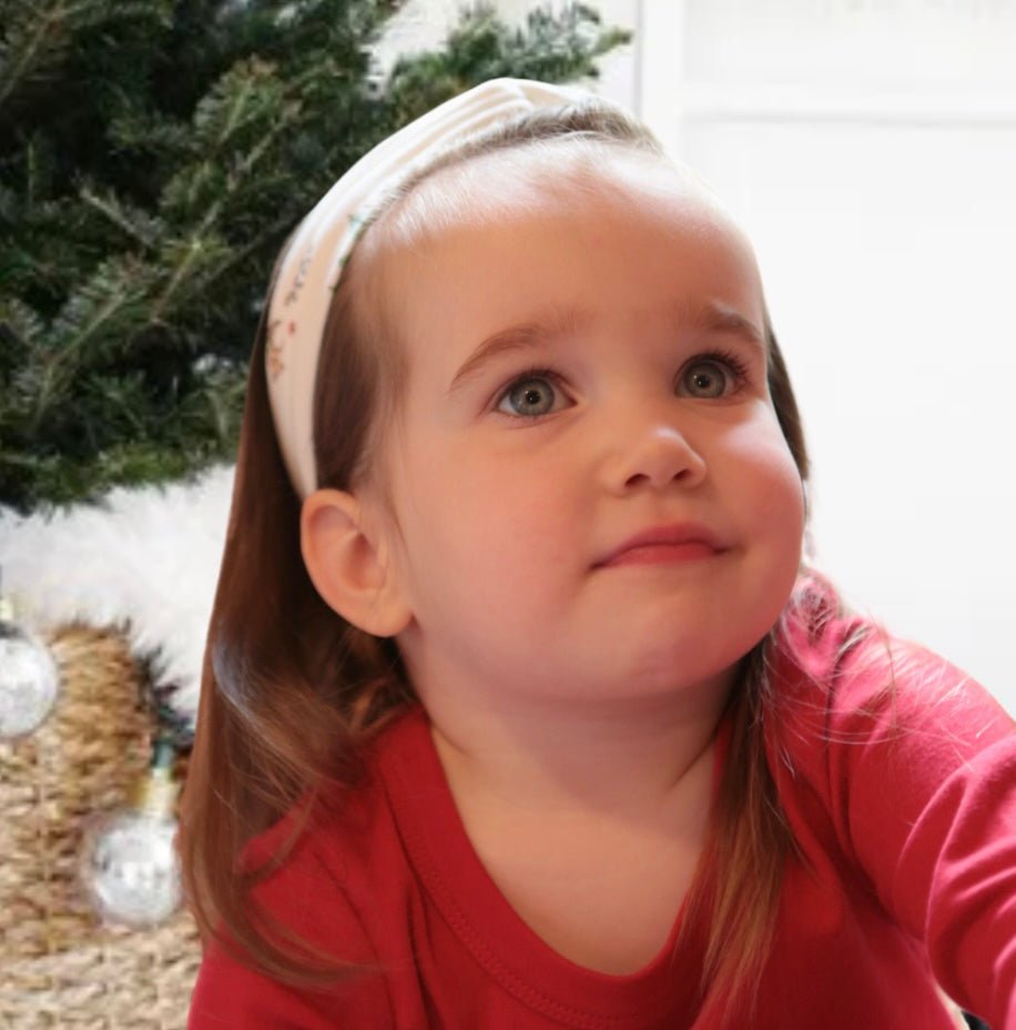 Headband | Mountain Express