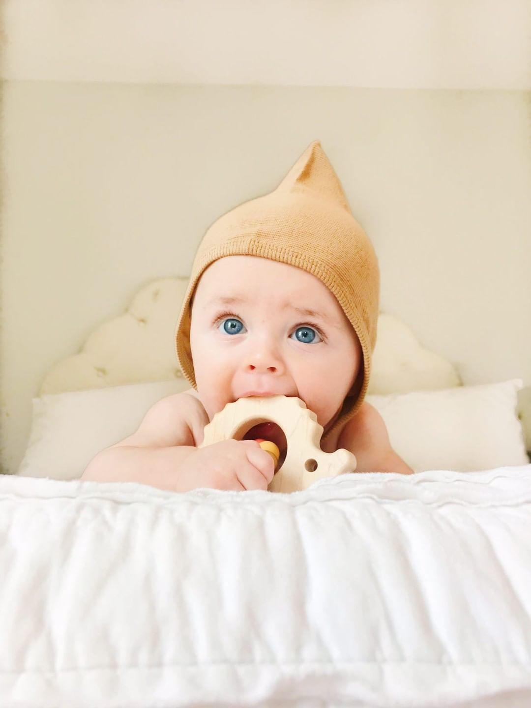 Hedgehog Wooden Baby Grasping Toy