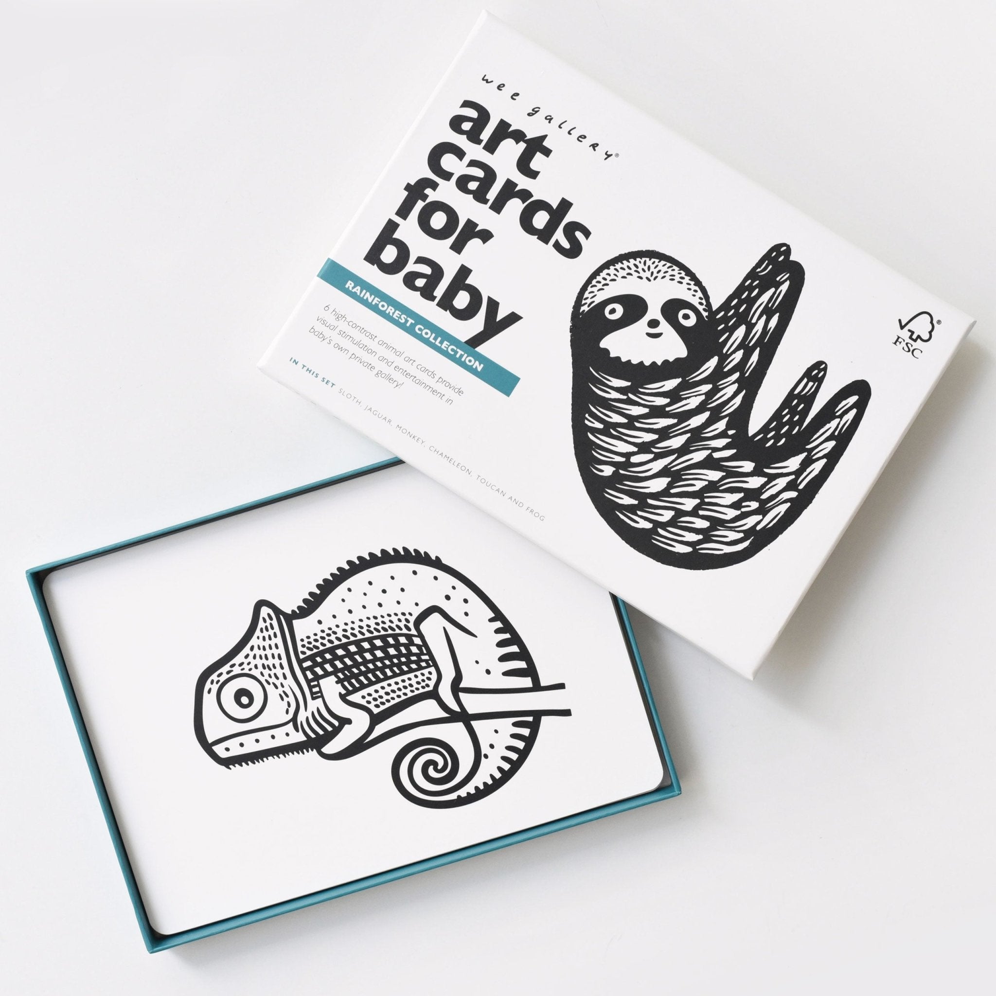 Art Cards For Baby - Rainforest Collection