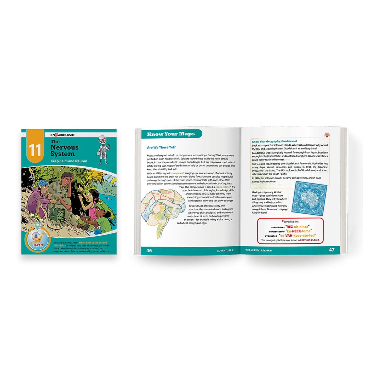 Human Anatomy For Kids Super Bundle