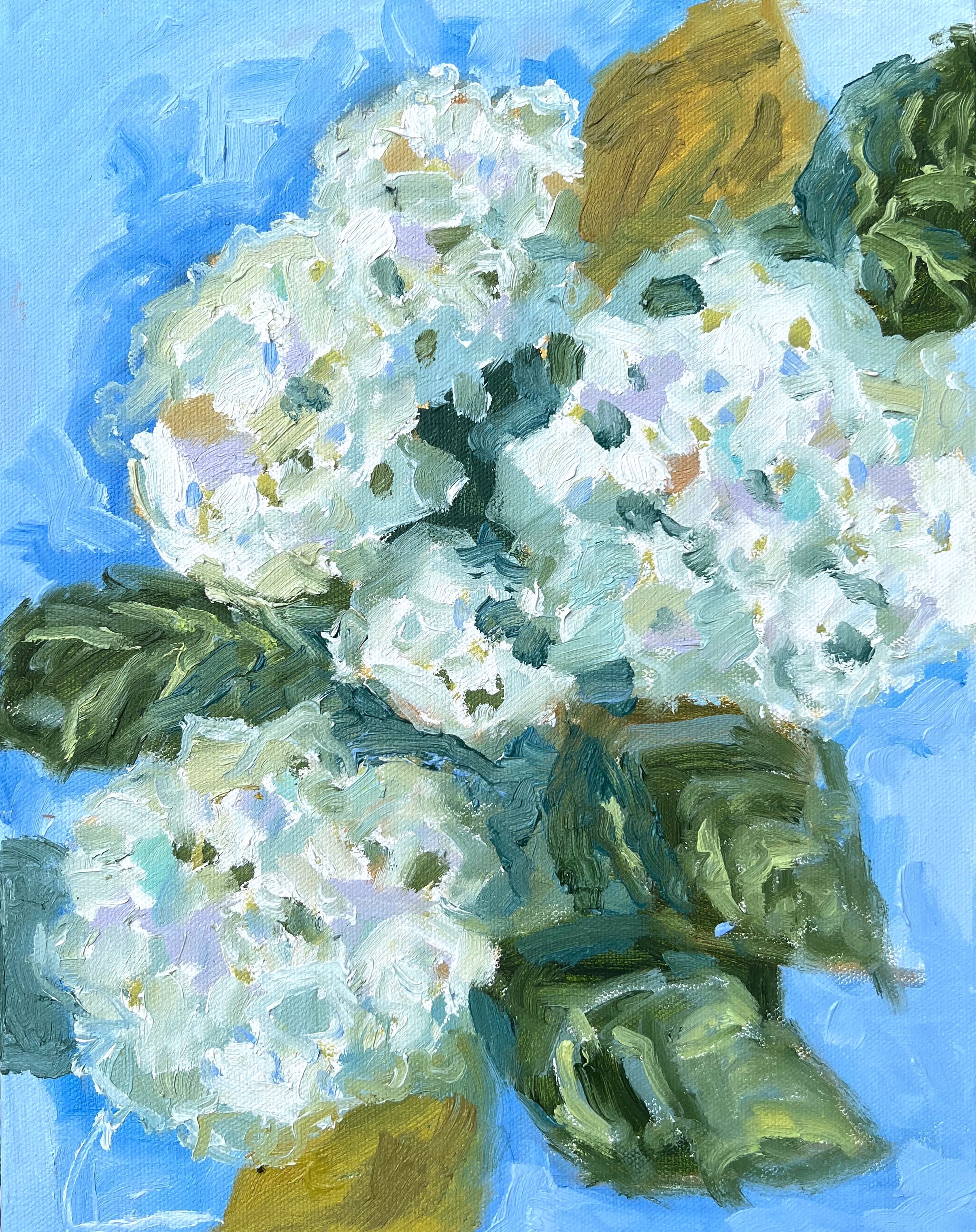 Hydrangea Blooms 2 Print