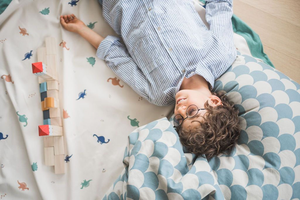 Dino Toy Storage Bag