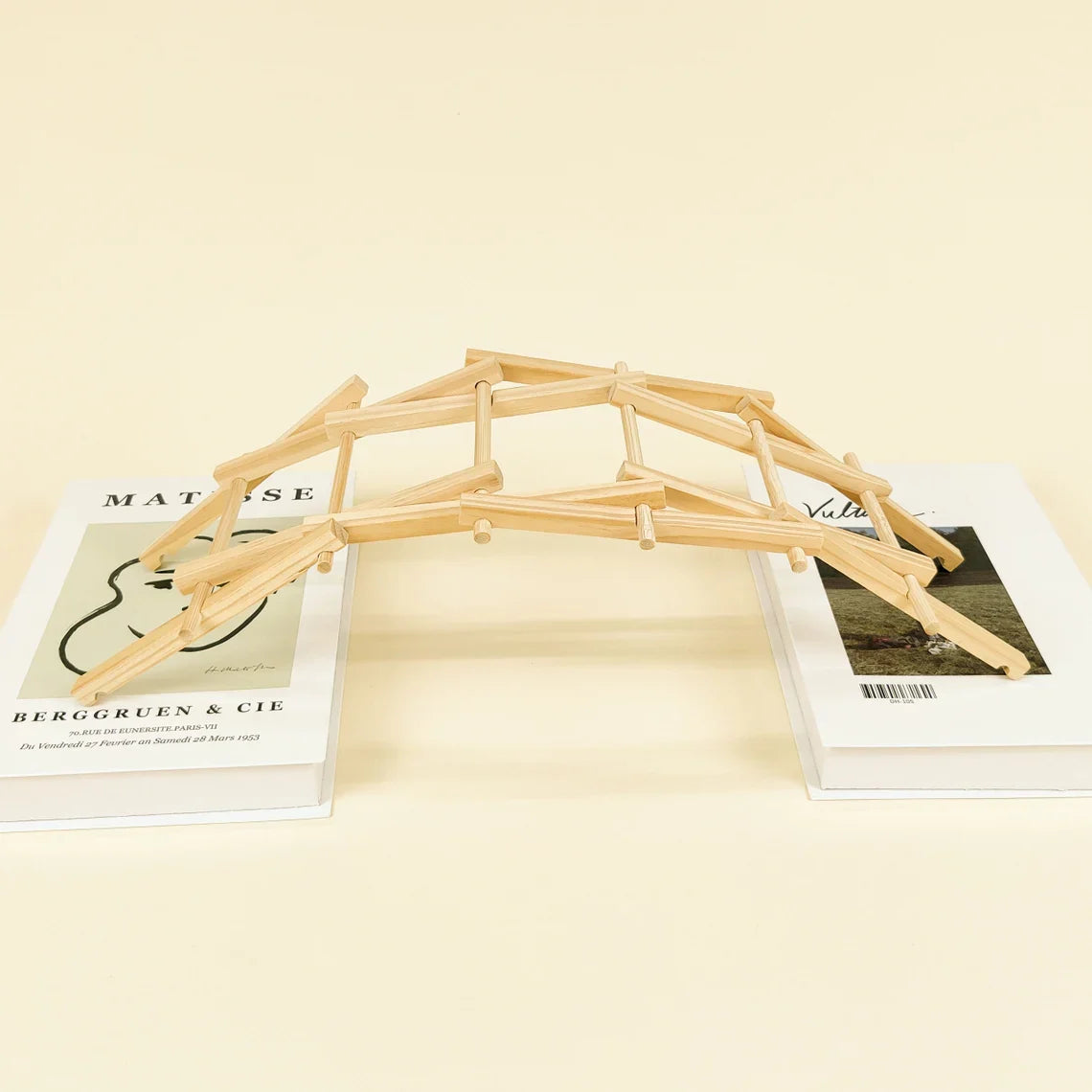Da Vinci's Bridge Diy Kit, Educational Stem Toy