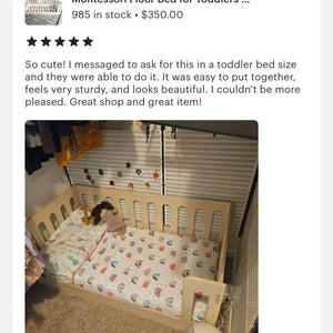 Avi- Floor Bed