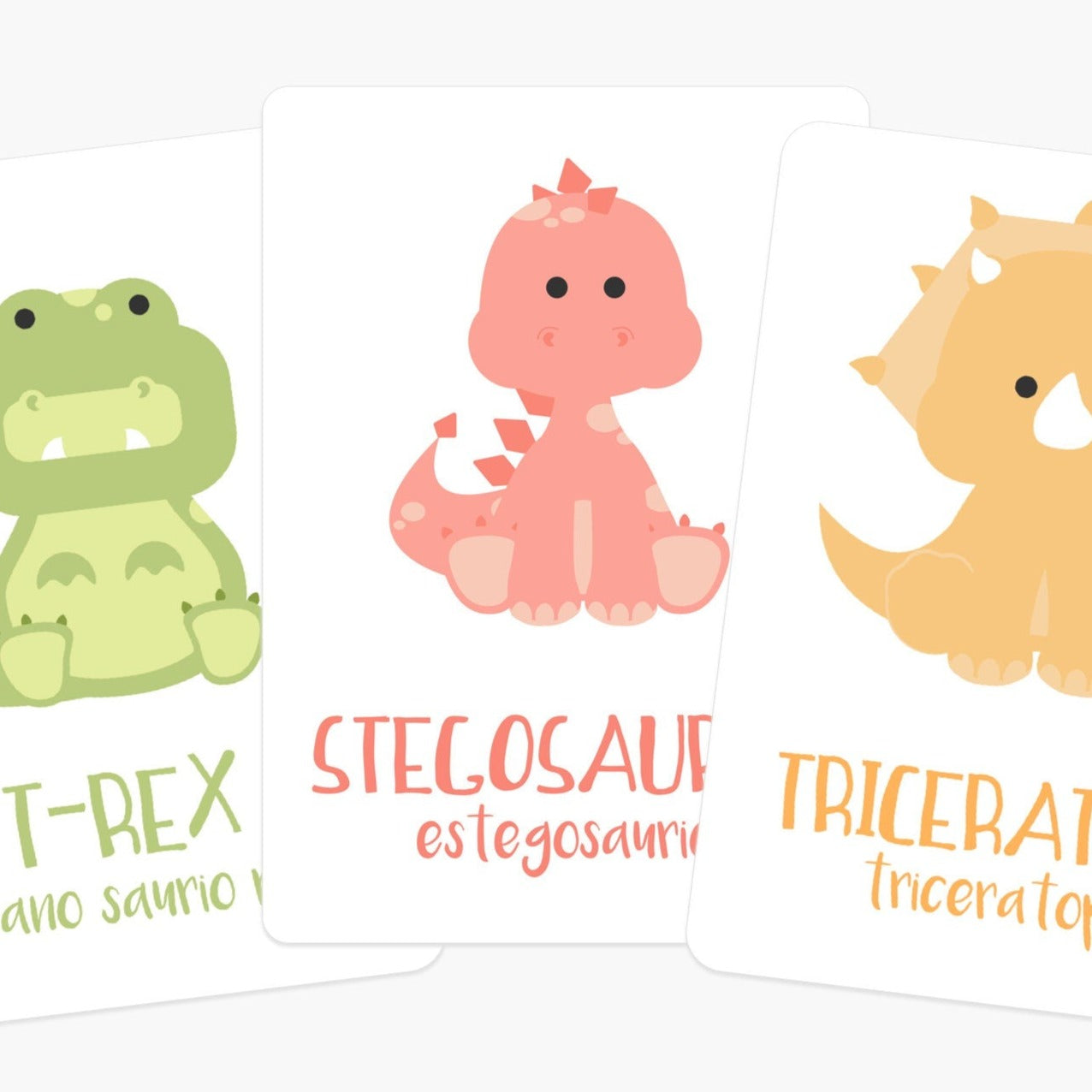 Dinosaur Flashcards