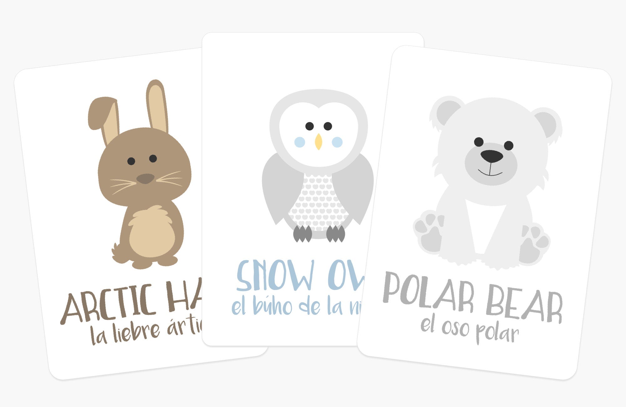 Arctic Animals Flashcards