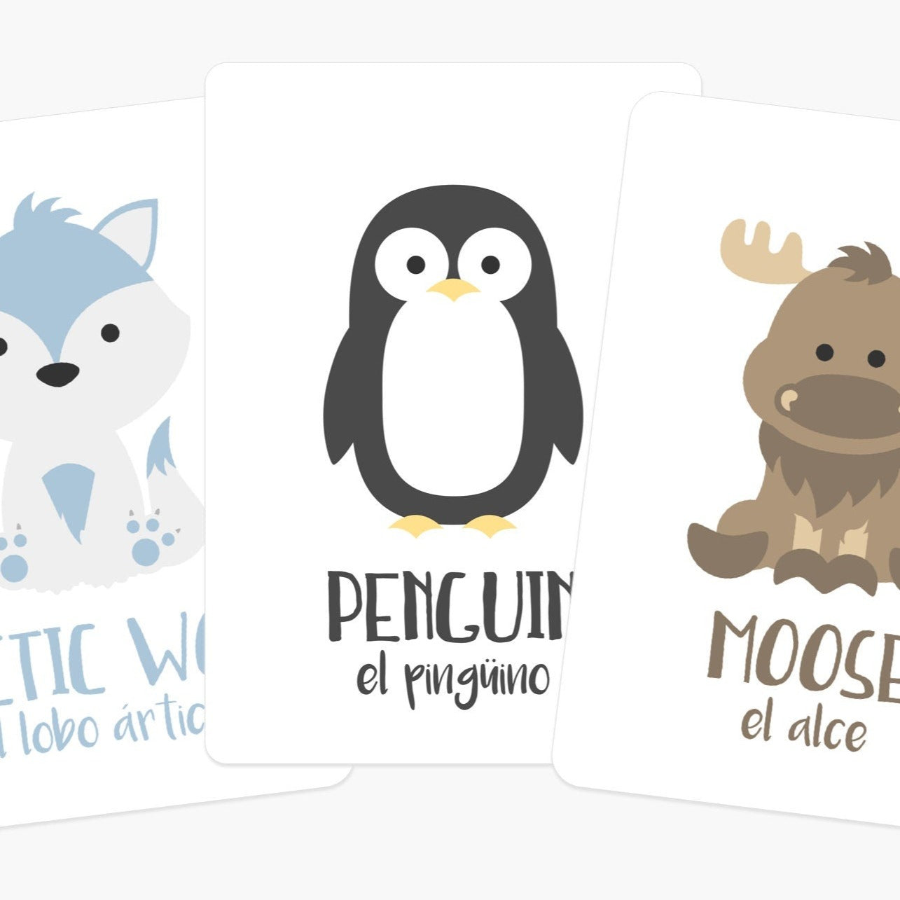 Arctic Animals Flashcards