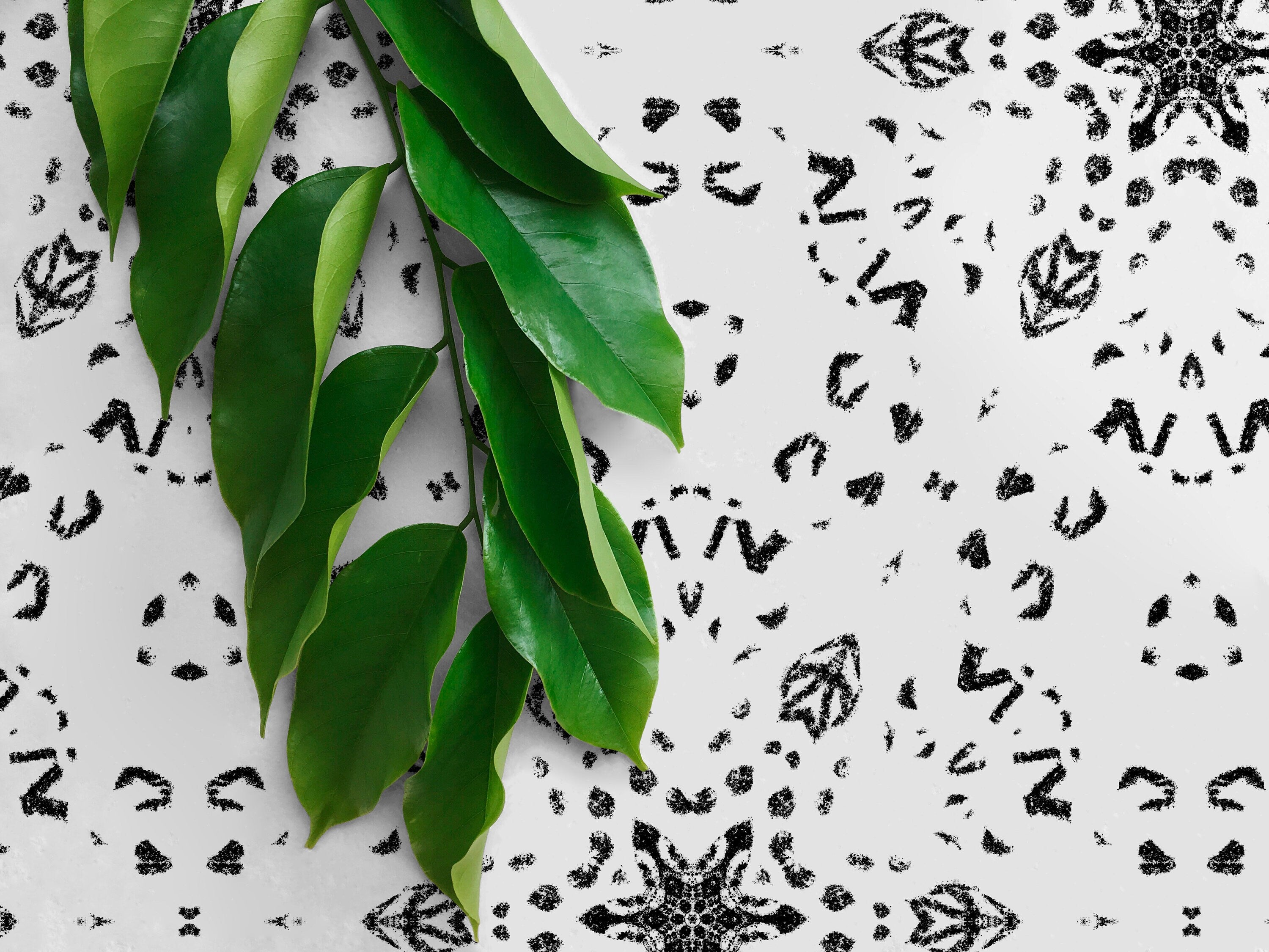 Geometric Wallpaper With A Stamped Kaleidoscope Motif In Black And White - X083