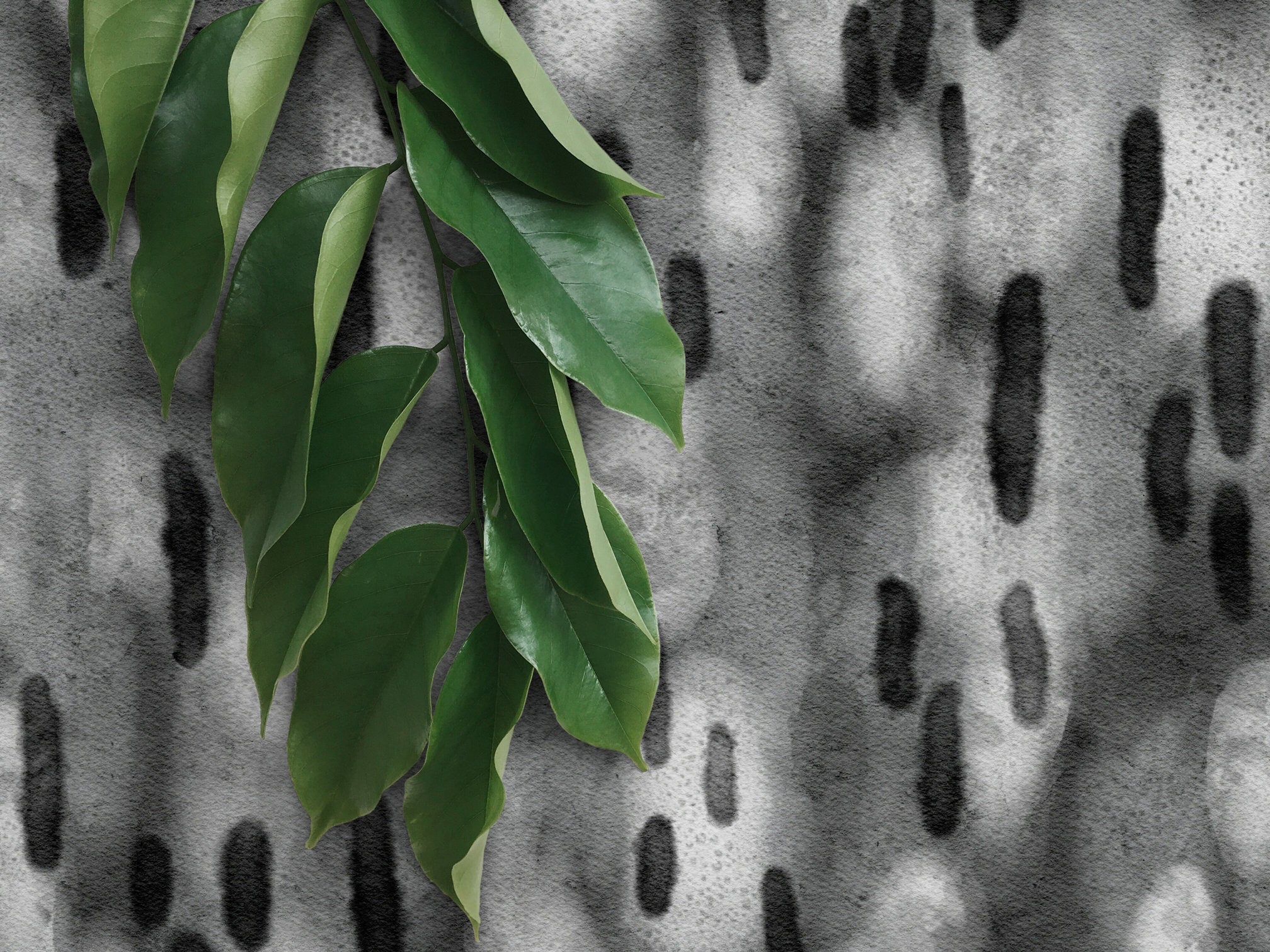 Abstract Wallpaper With Painterly Brushstrokes In Gray And Black - X113