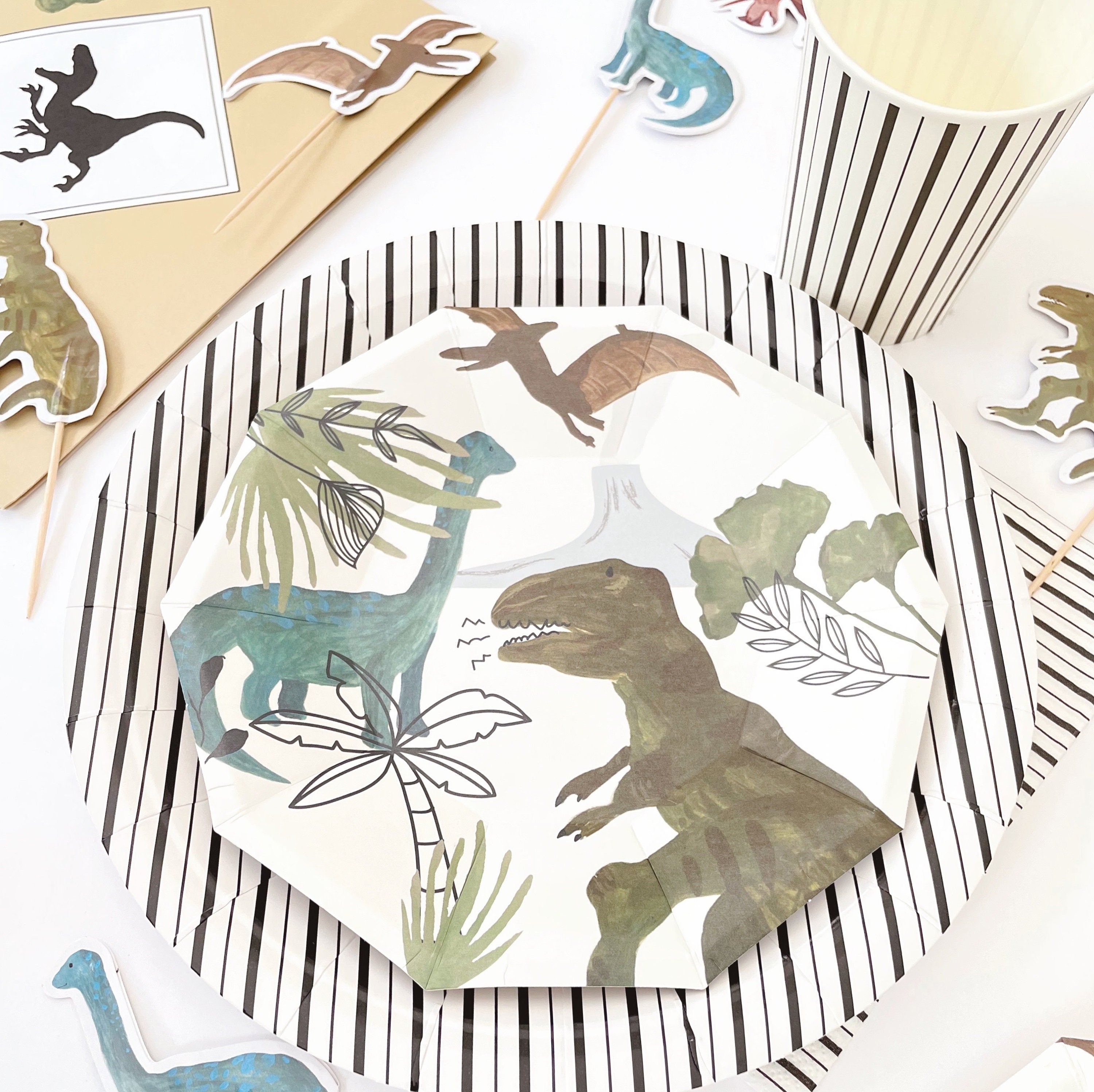 Dinosaur Party Supplies In A Box