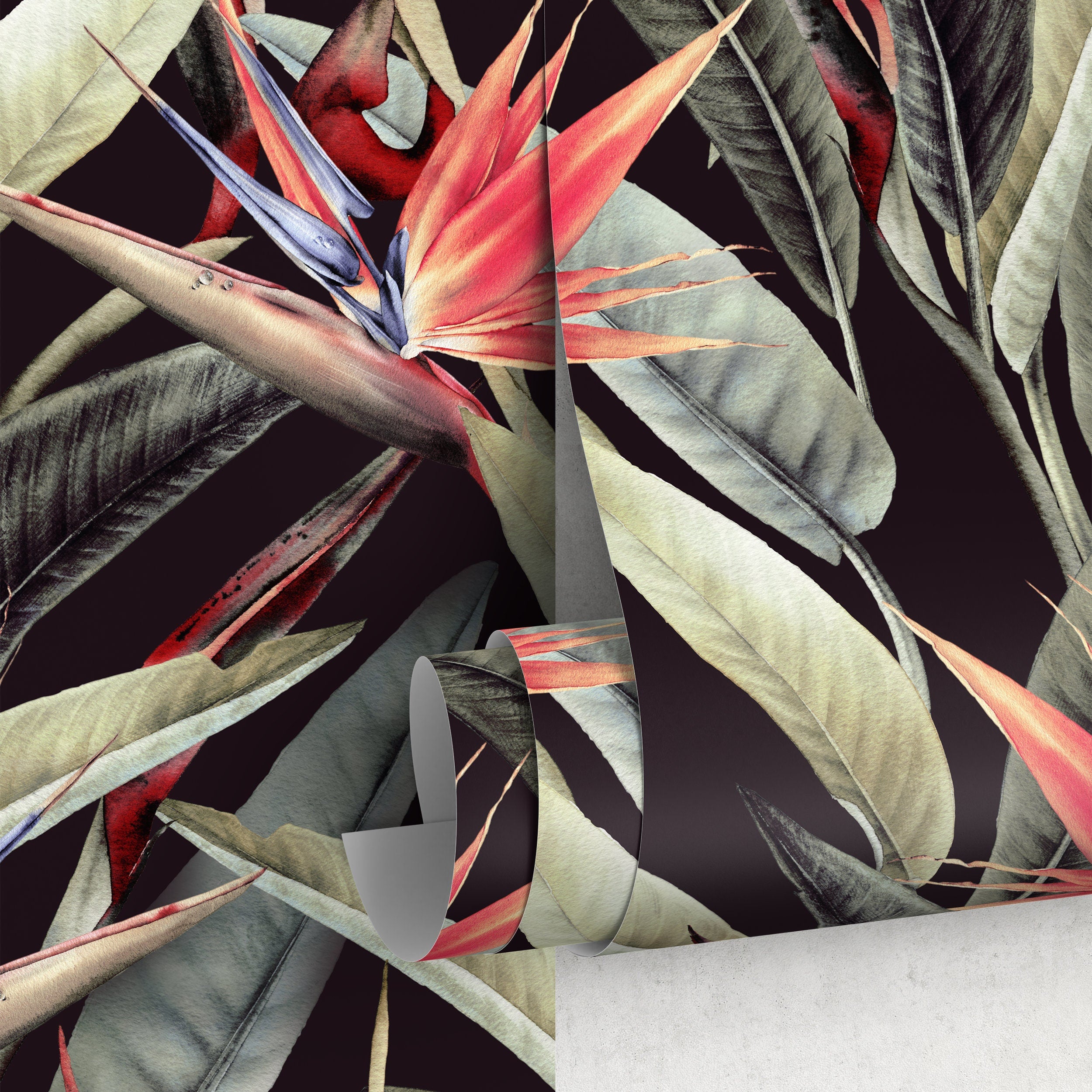 Tropical Wallpaper With A Bird Of Paradise Motif In Black, Green, And Red - D951
