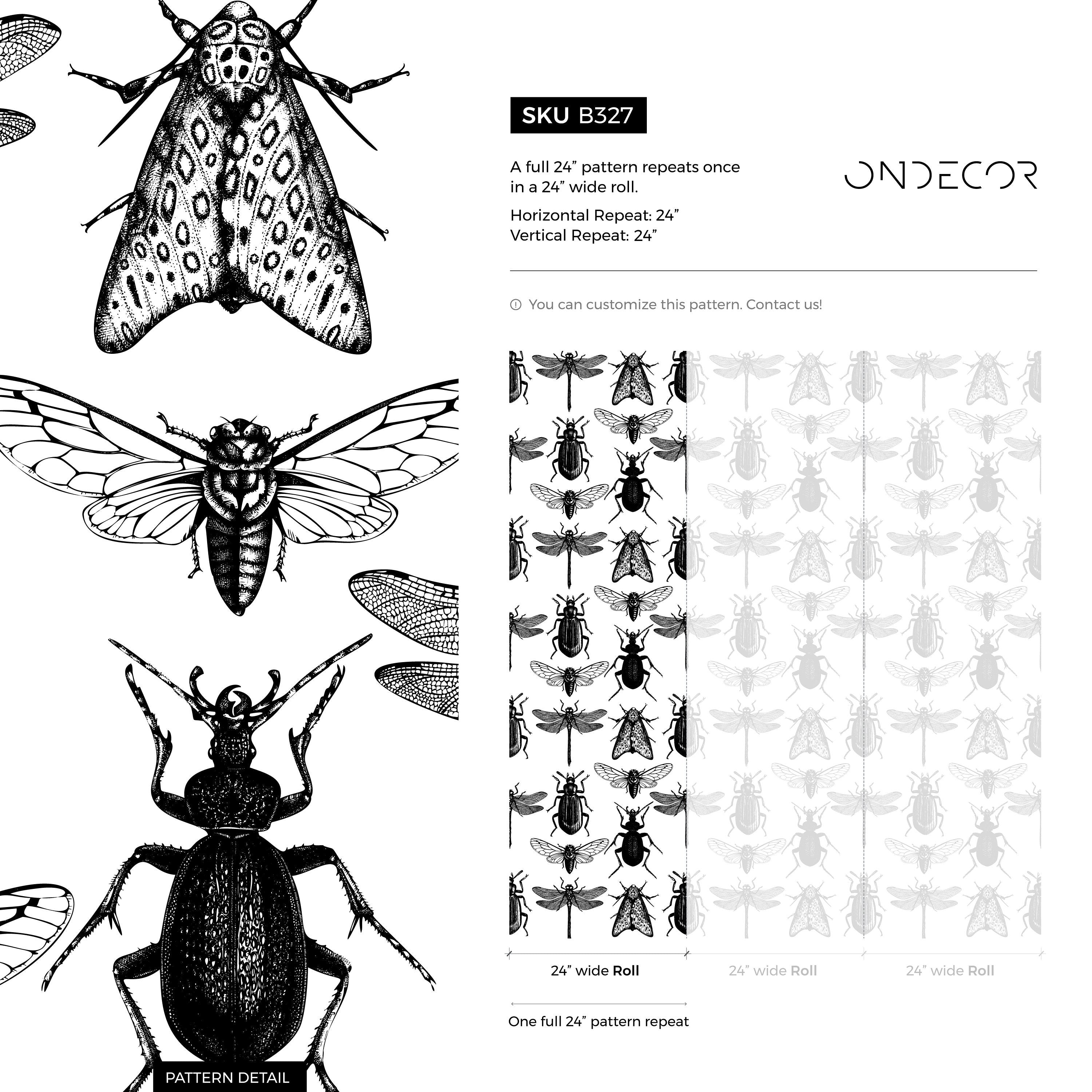 Insect Wallpaper With Vintage Entomology Illustrations In Black And White - B327