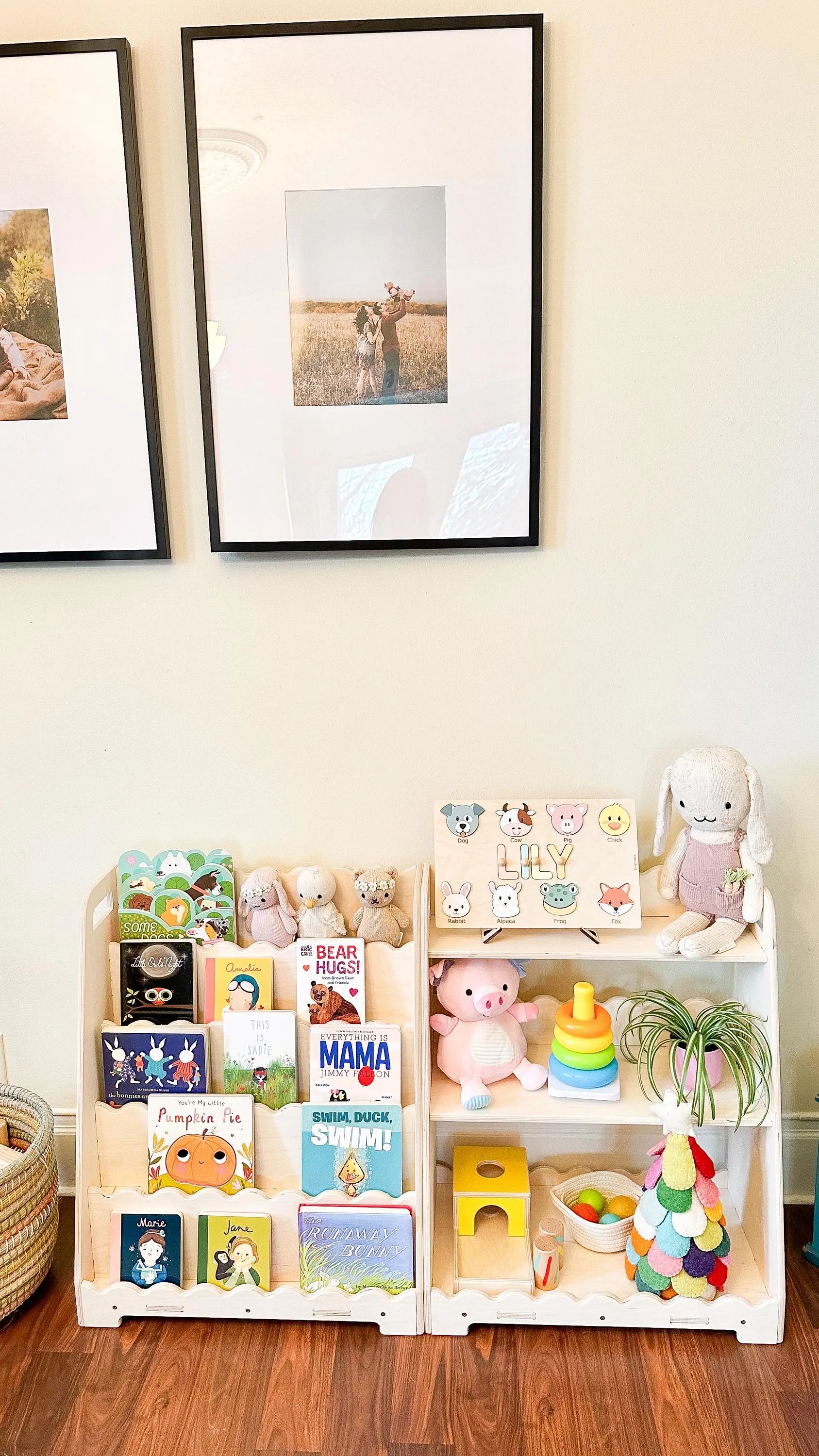 Lori Scalloped- Bookshelf + Toy Shelf Set