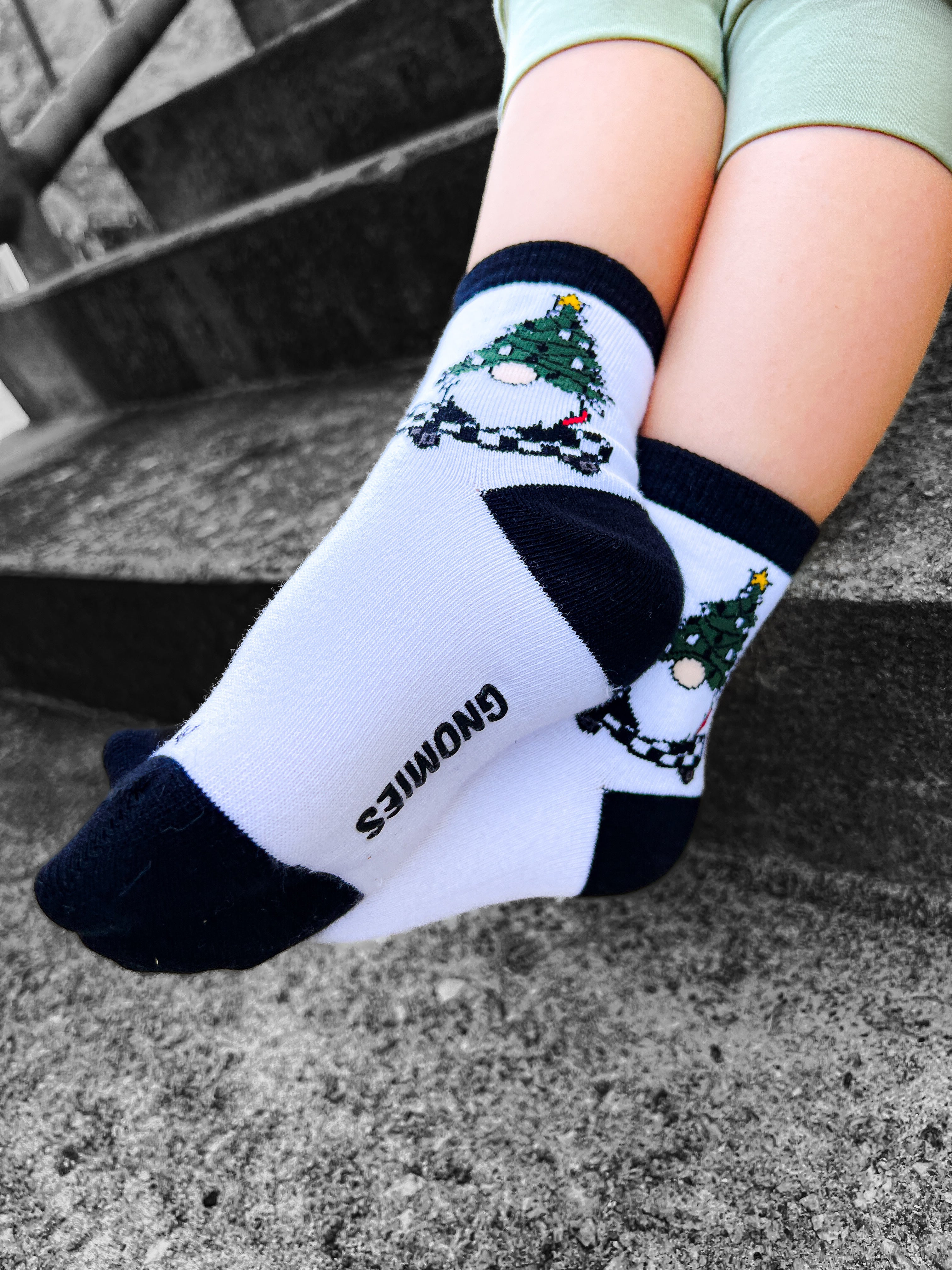 Gnome For The Holidays