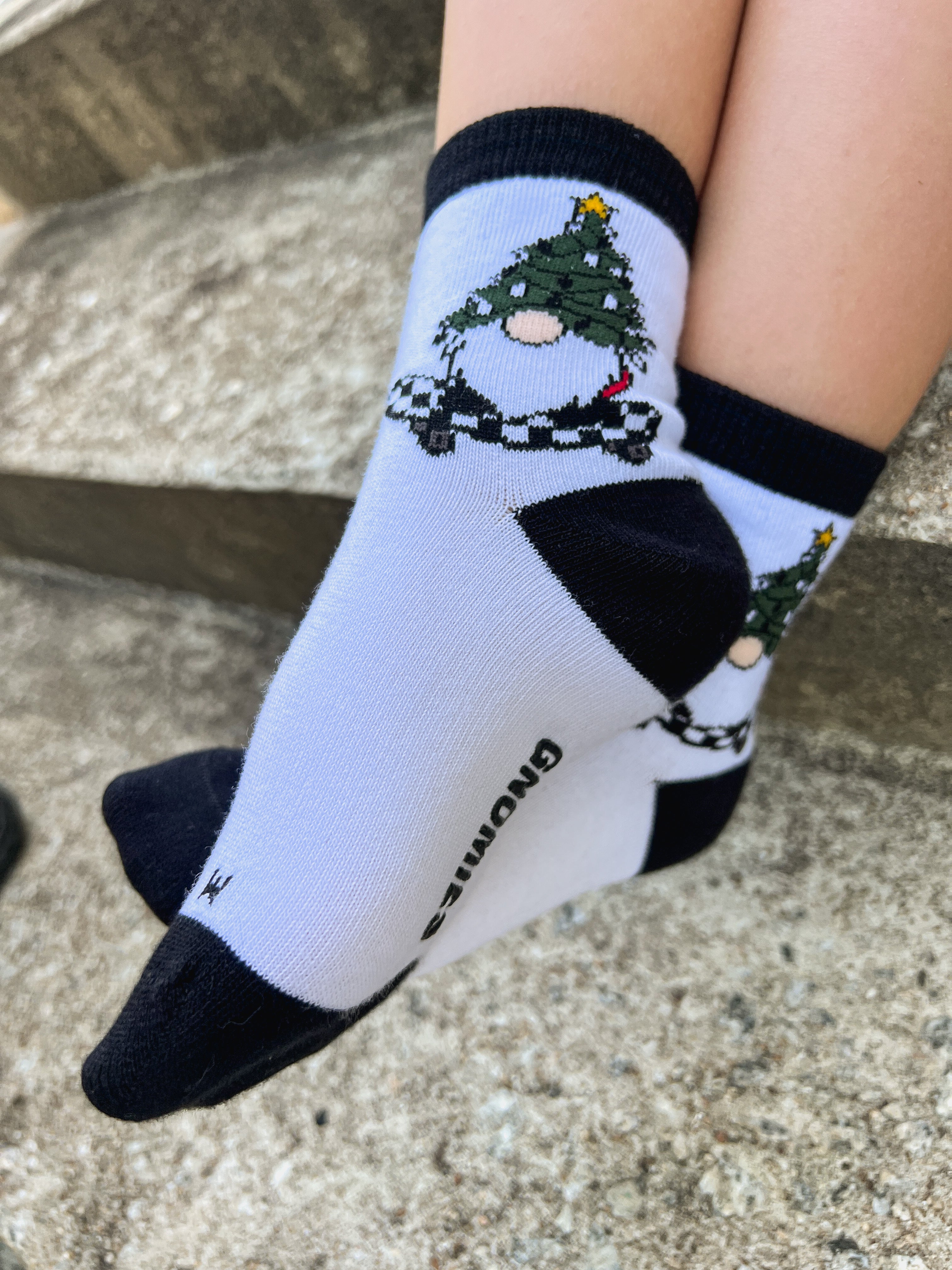 Gnome For The Holidays