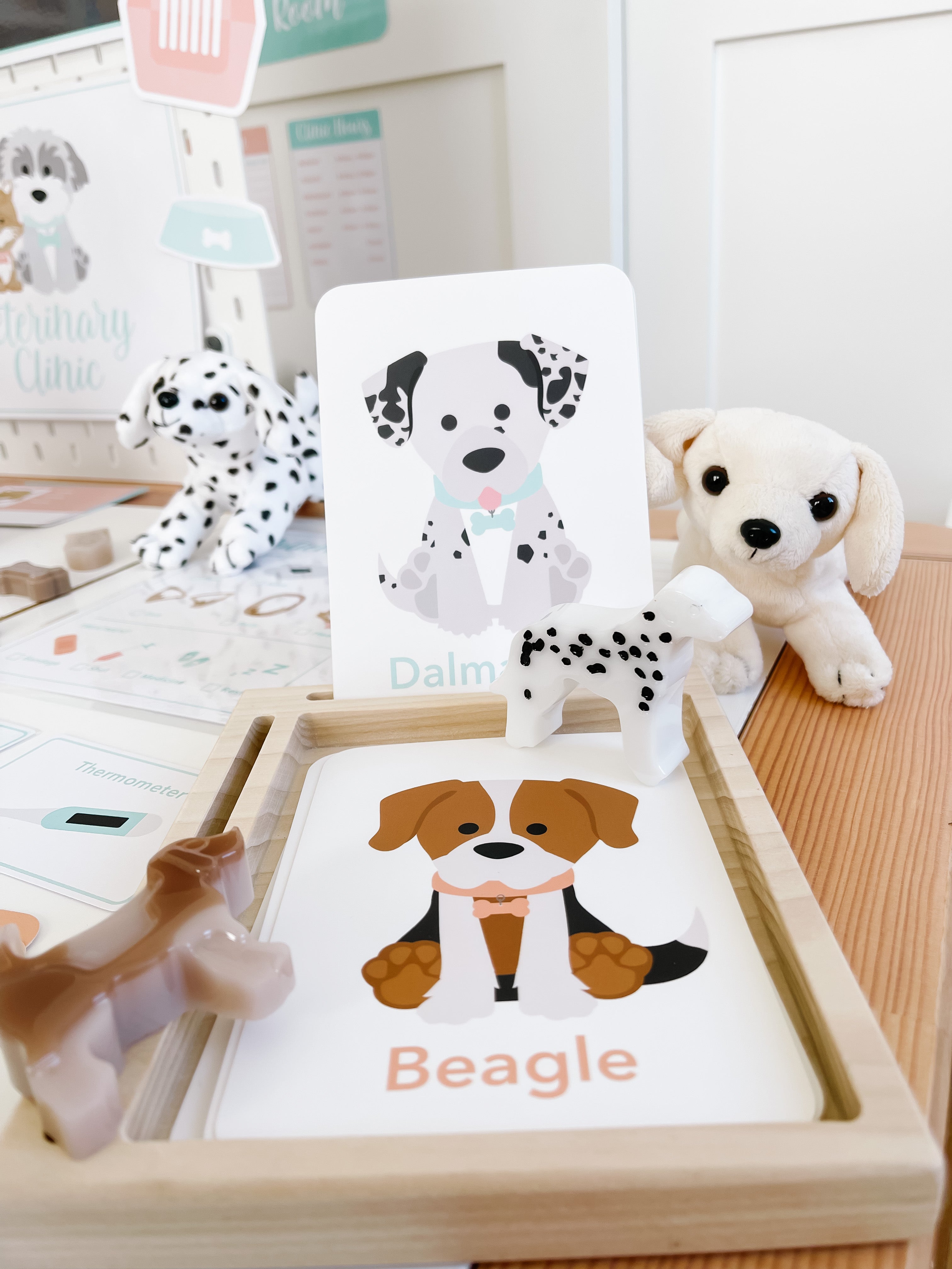 Dog Breed Flash Cards