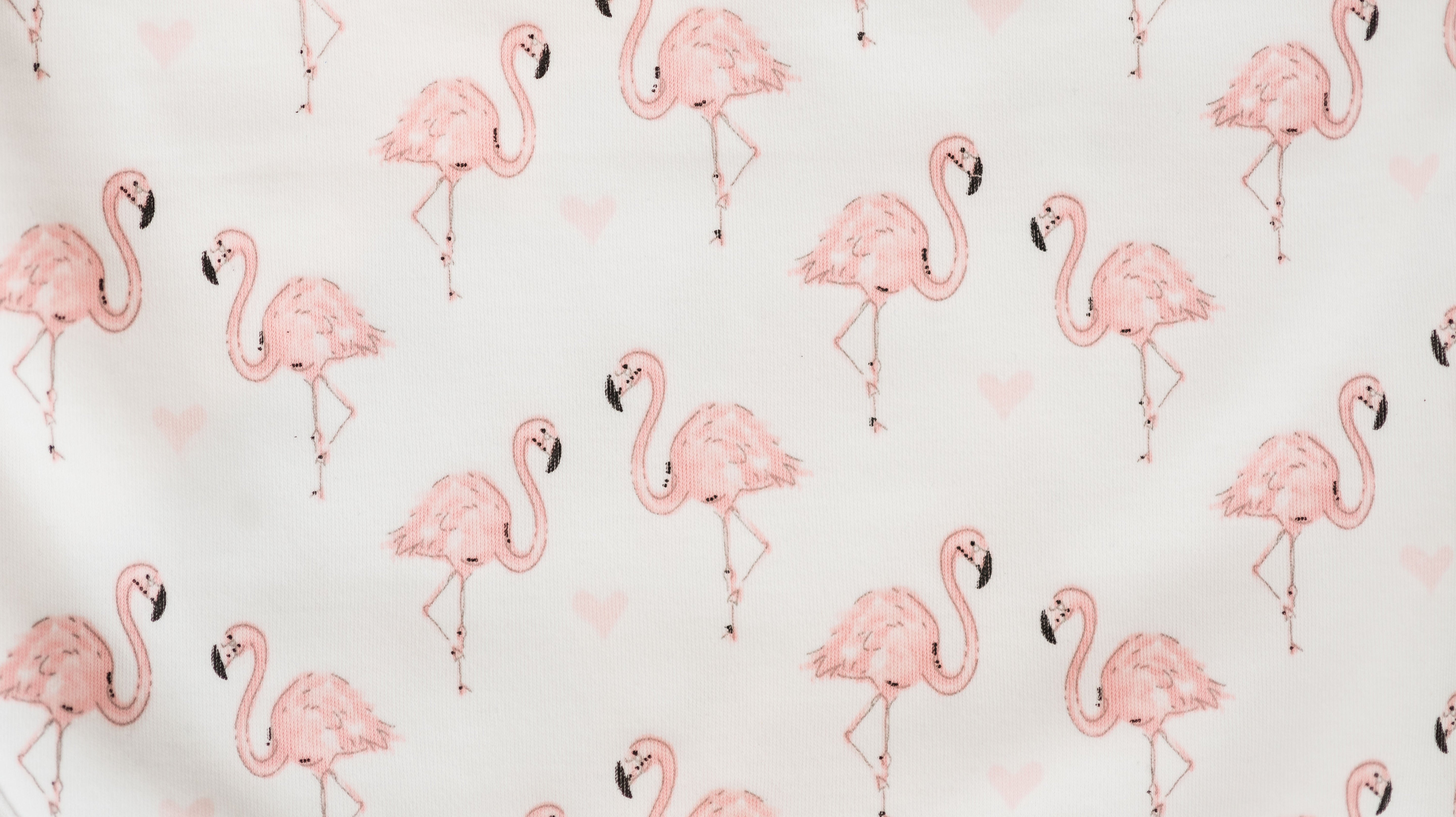 Pink Flamingo Bloomer