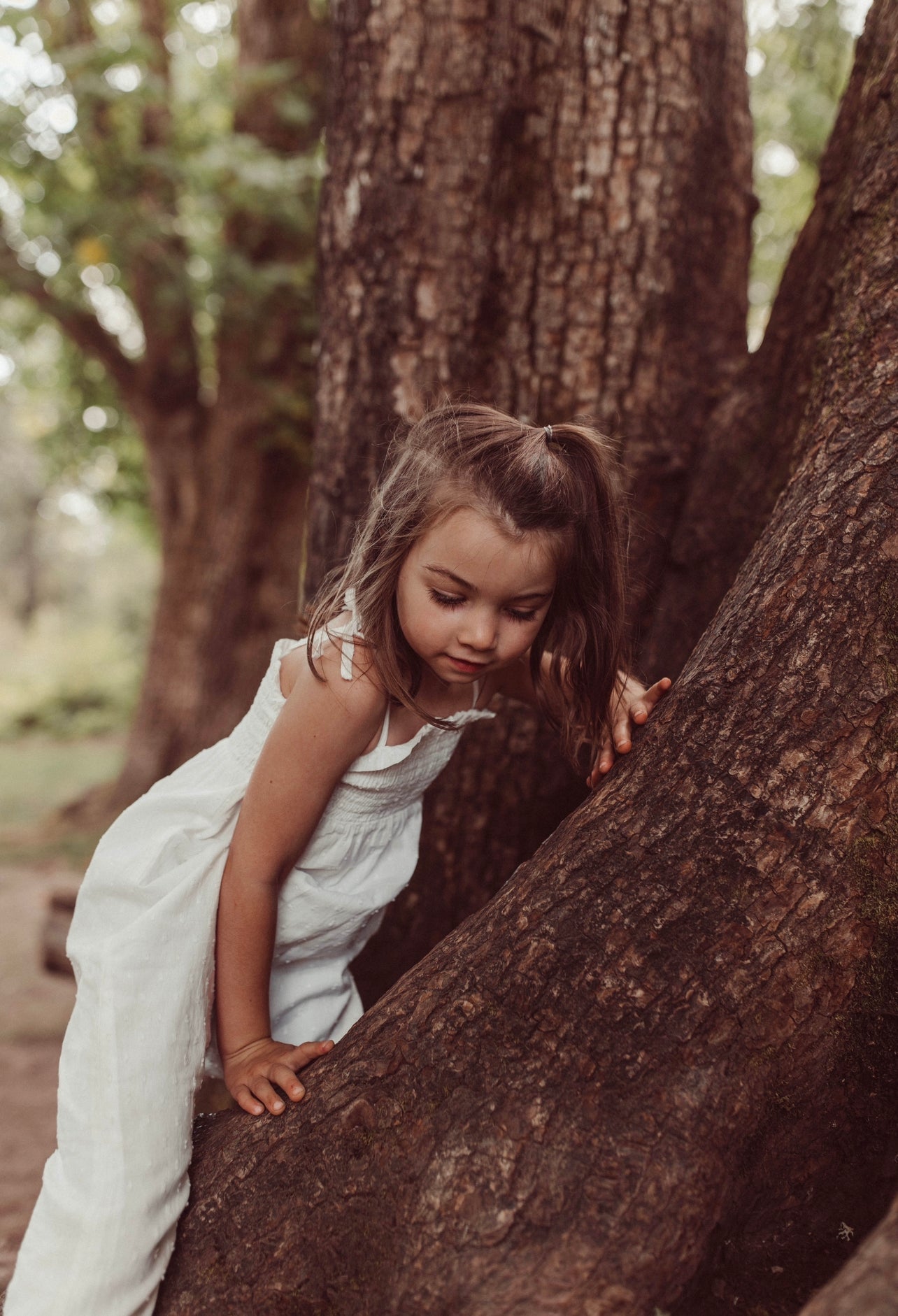 Lily | Swiss Dot Cotton Playsuit | Antique Ivory