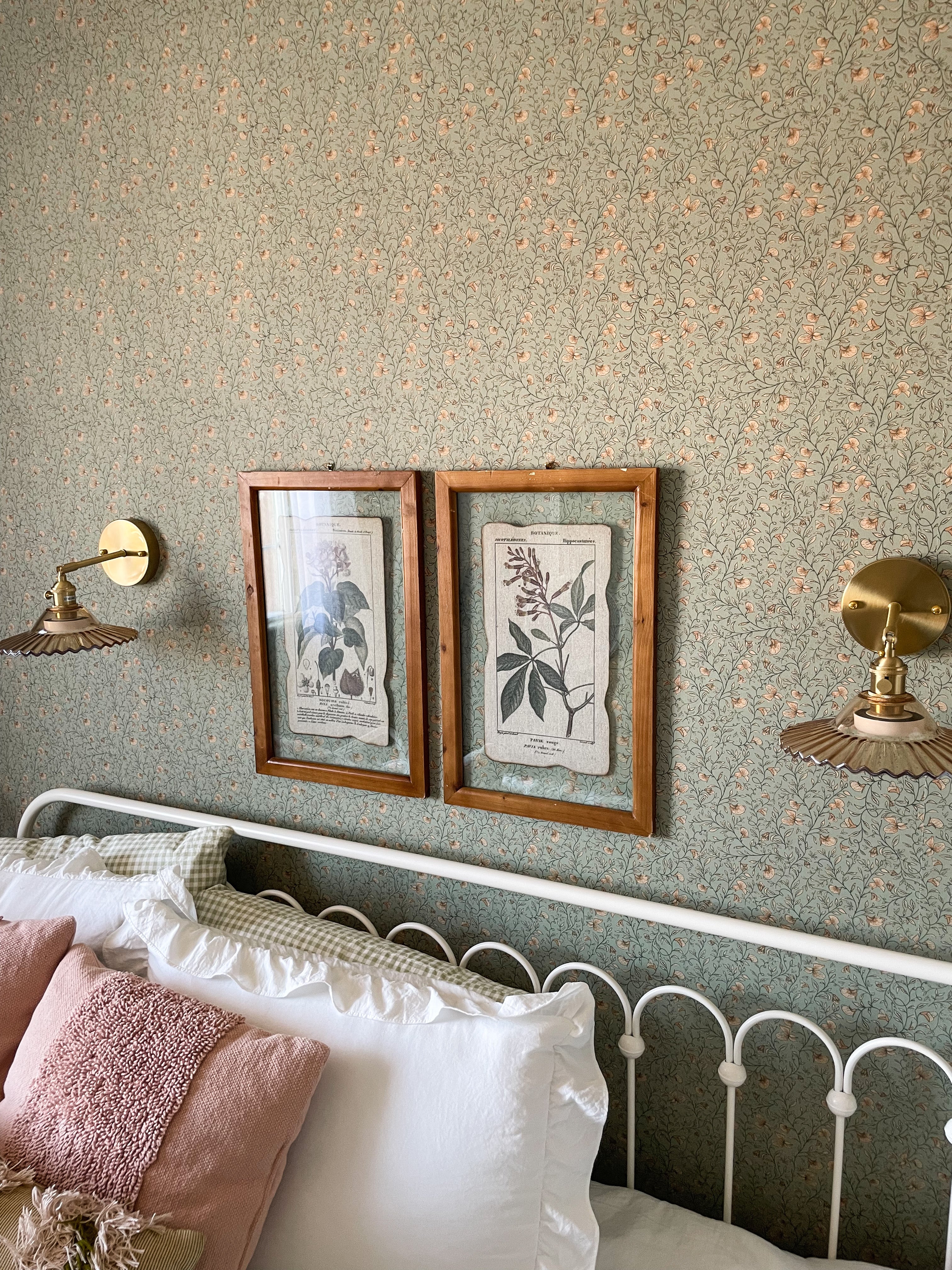 Edelweiss Wallpaper By Danelys Sidron