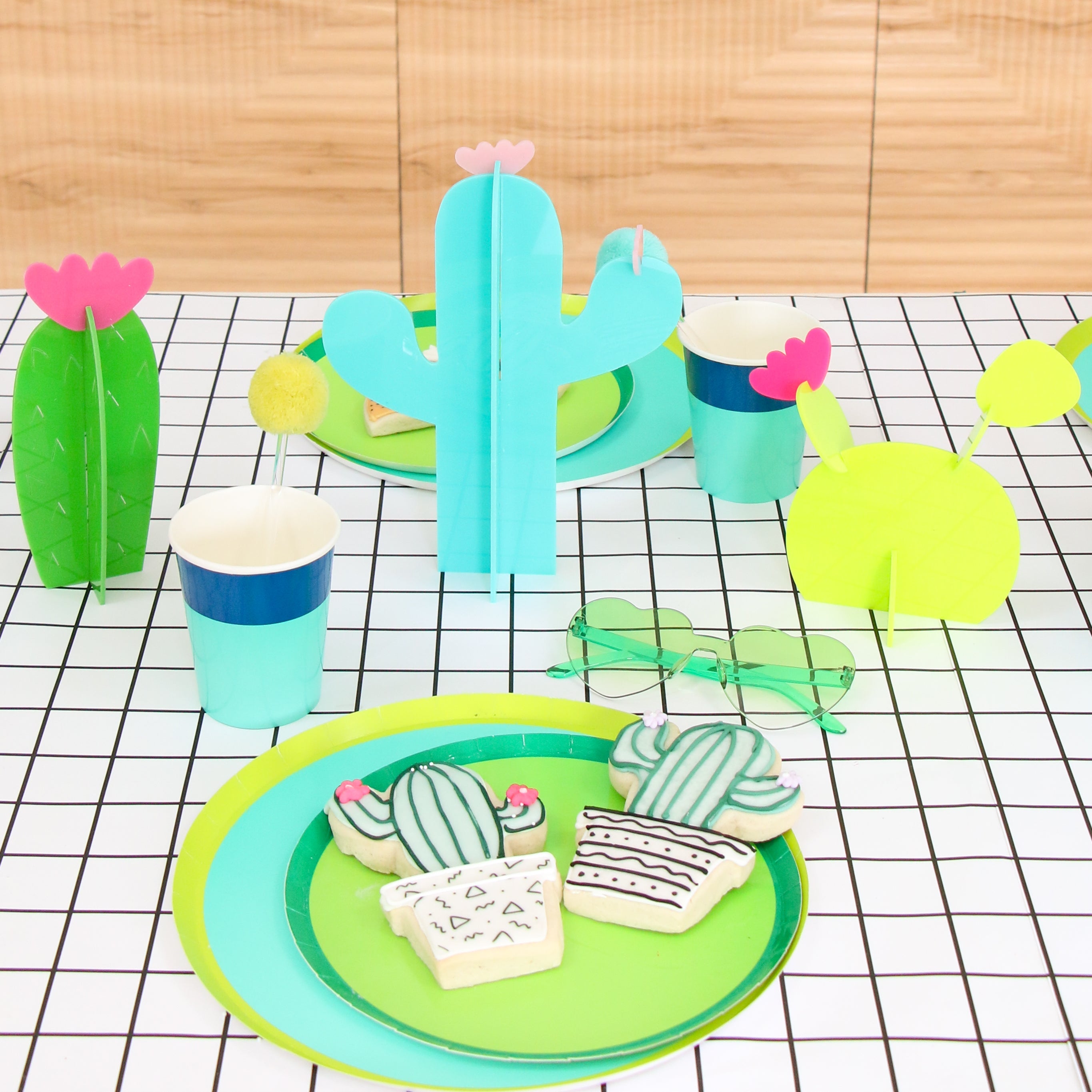 Acrylic Cactus Set