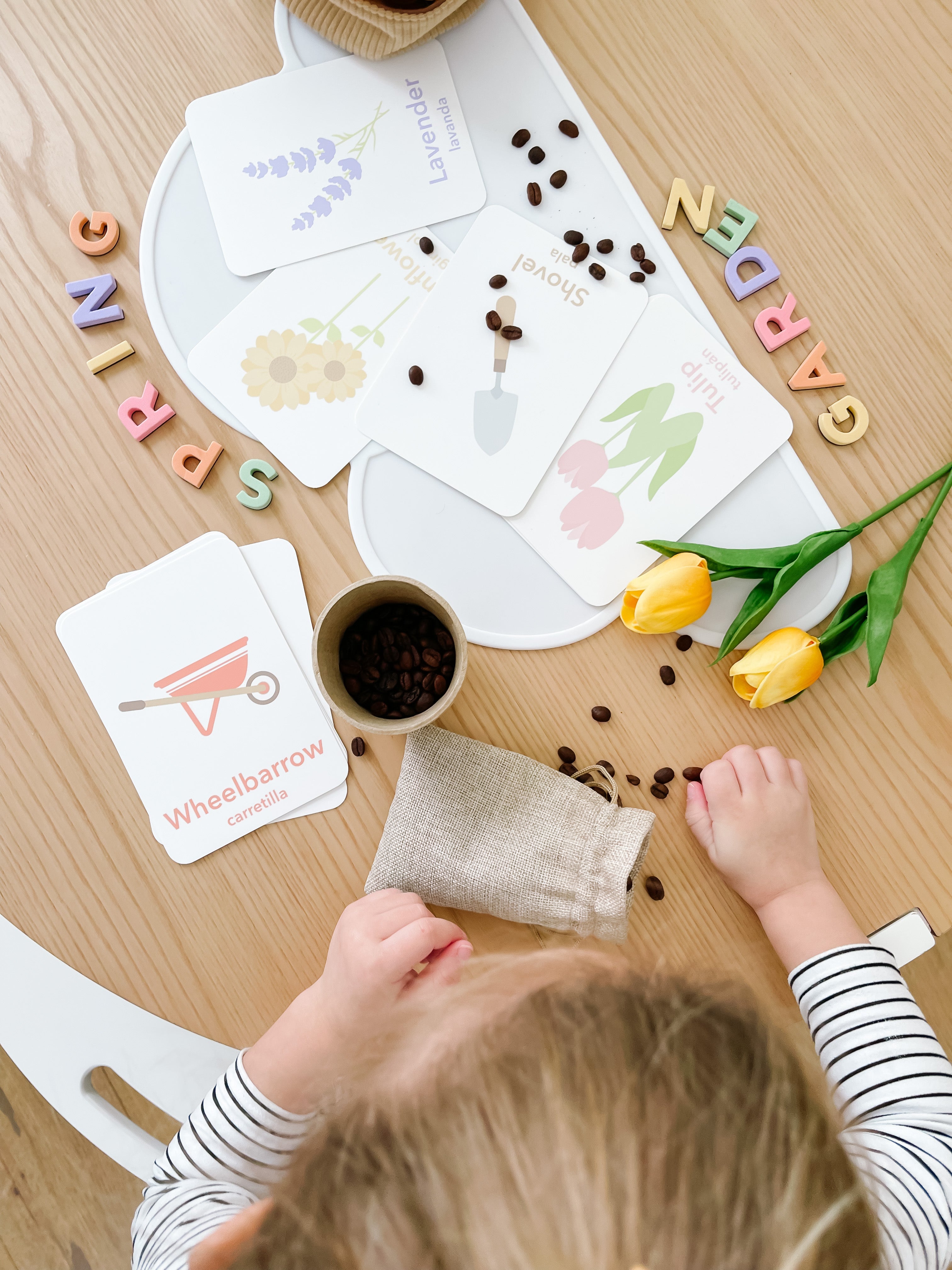 Flower Garden Flashcards