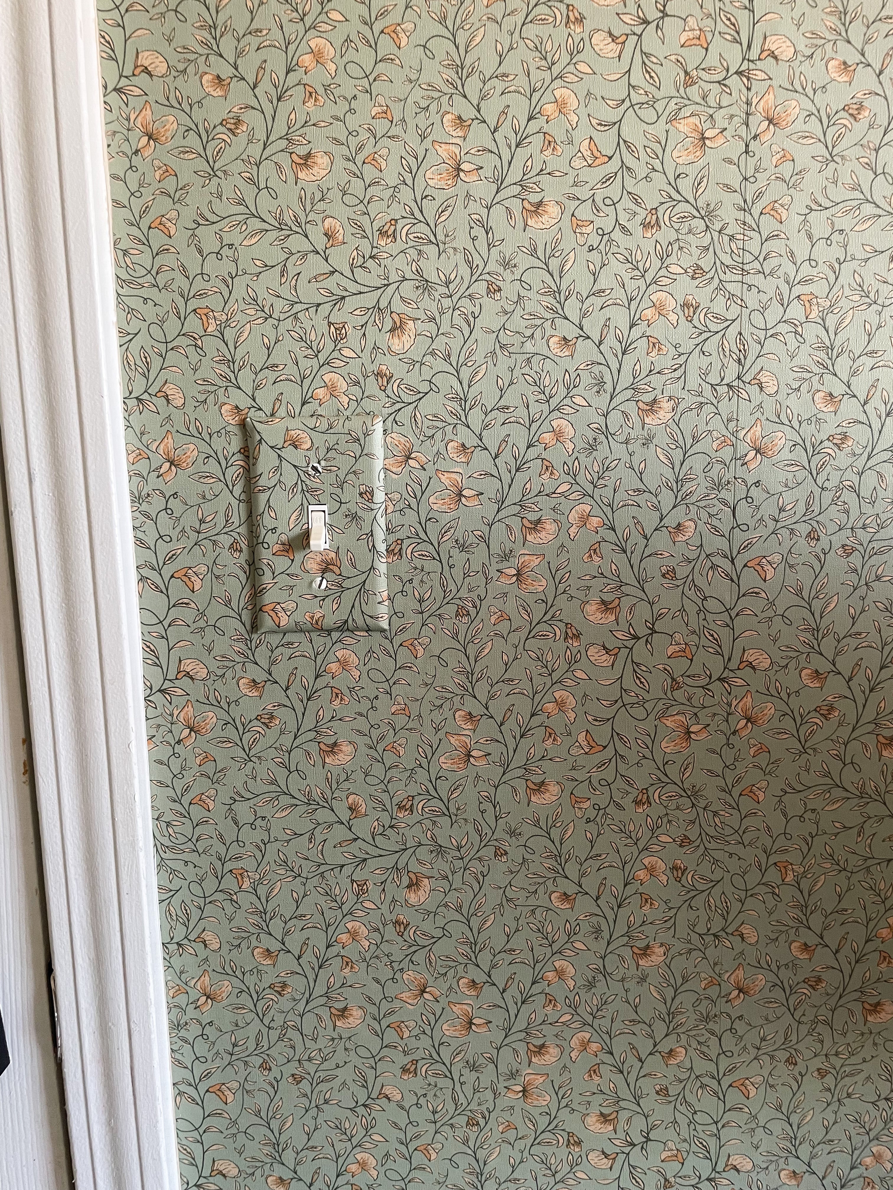 Edelweiss Wallpaper By Danelys Sidron