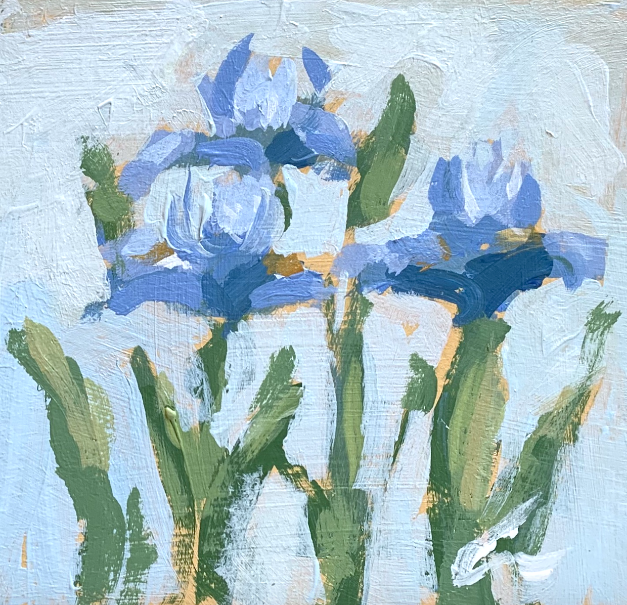 Iris's 3 Print