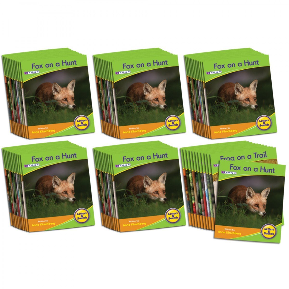 Letters & Sounds Phase 4 Set 1 Non-fiction - 6 Pack