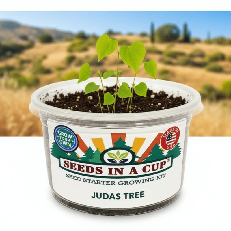 Original Tree Grow Kit- Multiple Varieties
