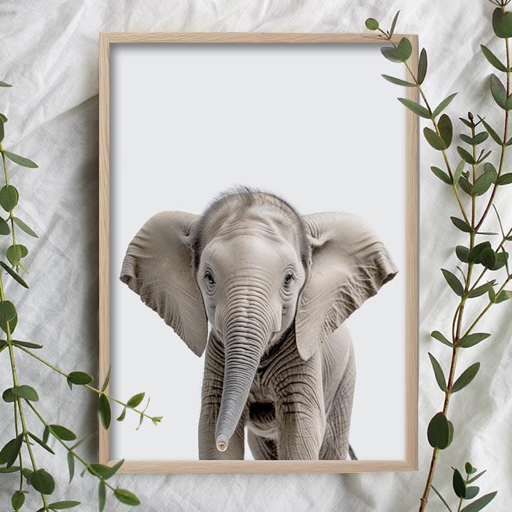 Jungle Animal Wallpaper