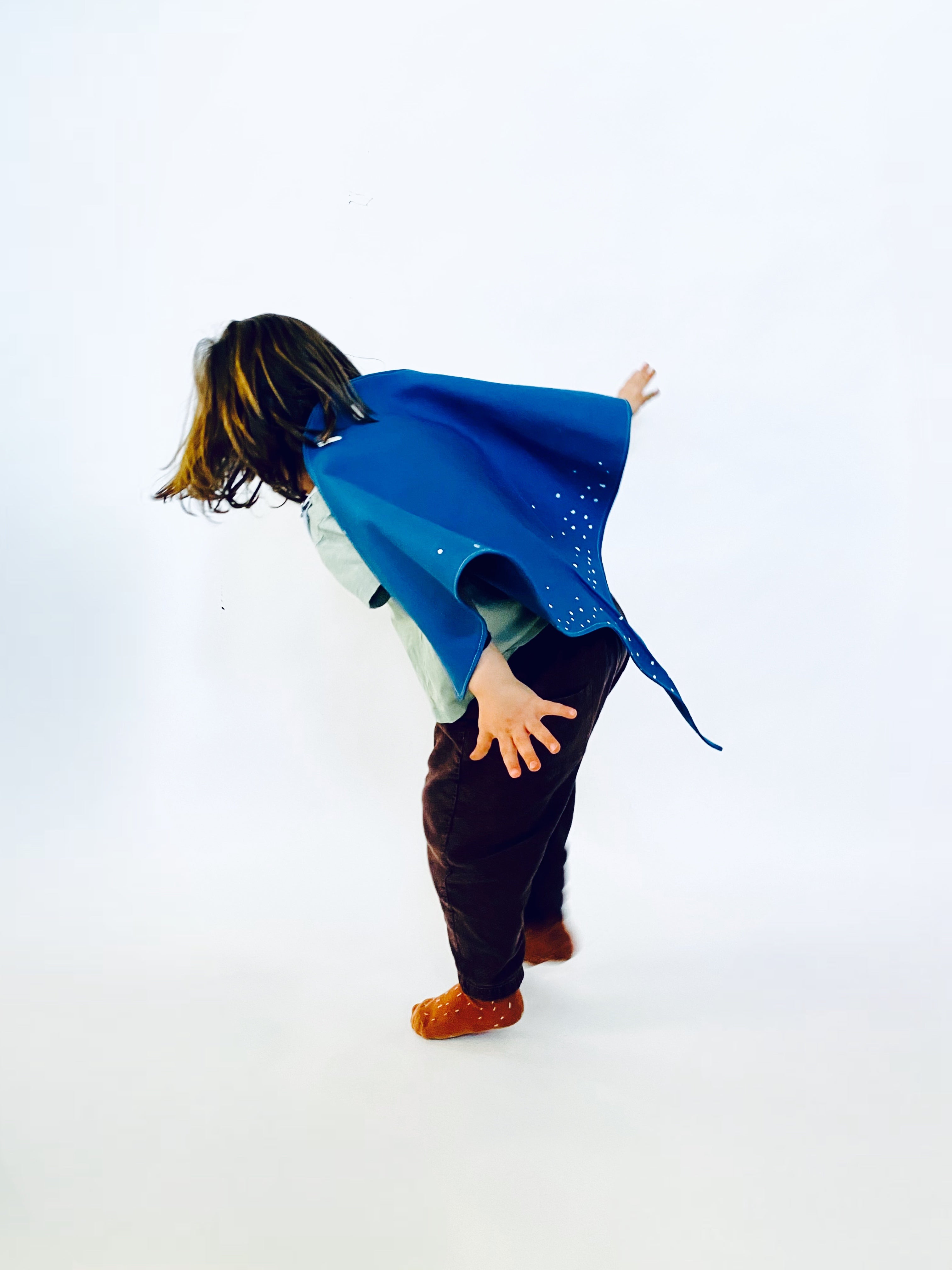 Stingray Costume Wings