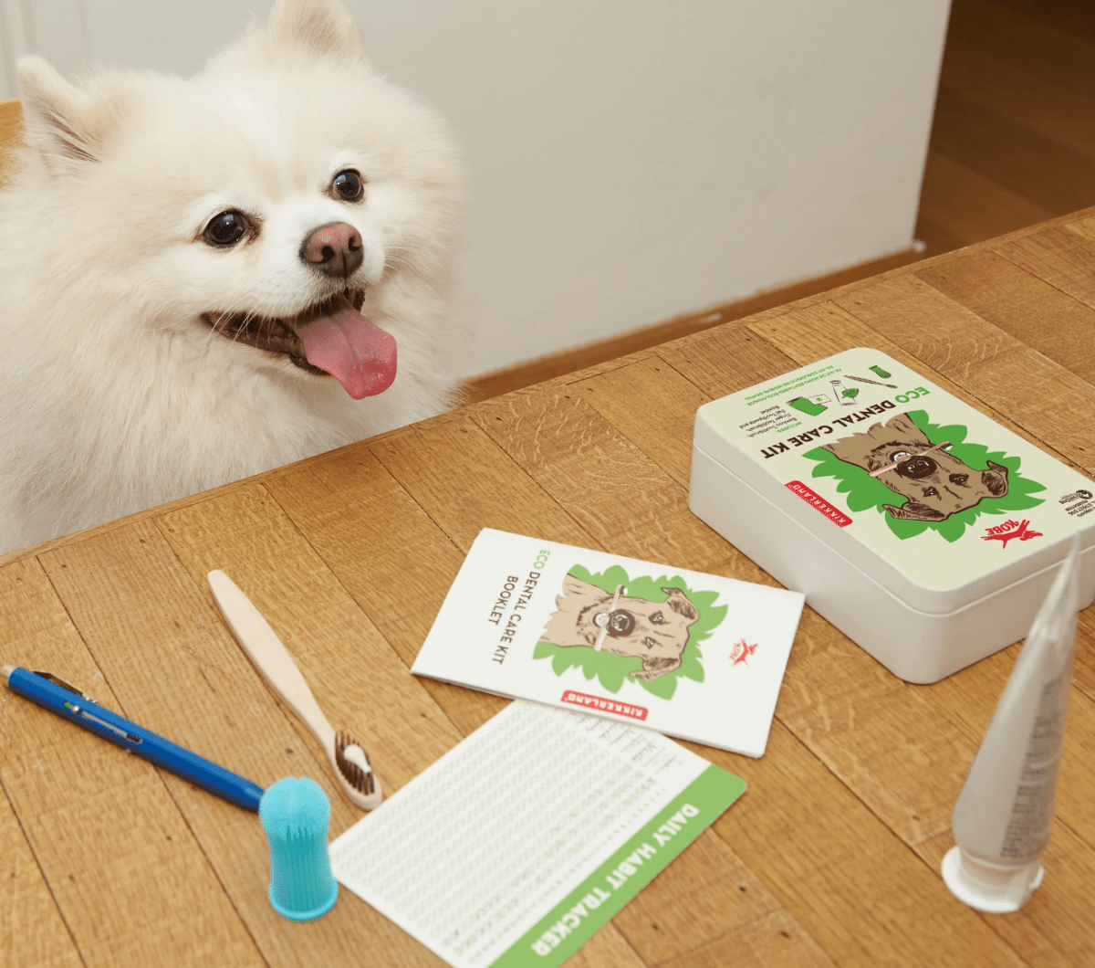 Kikkerland Dog Eco Dental Care Kit
