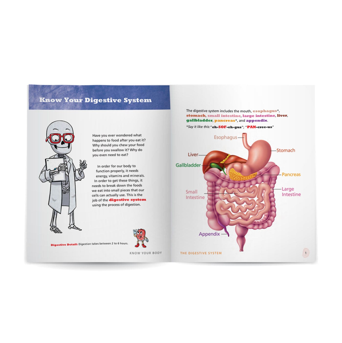 Know Your Body 6 Book Bundle