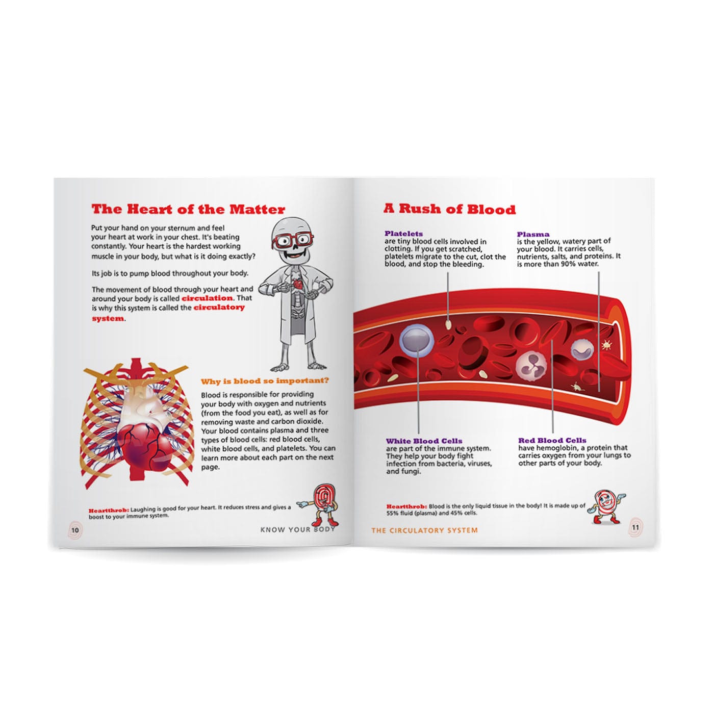 Know Your Body 6 Book Bundle