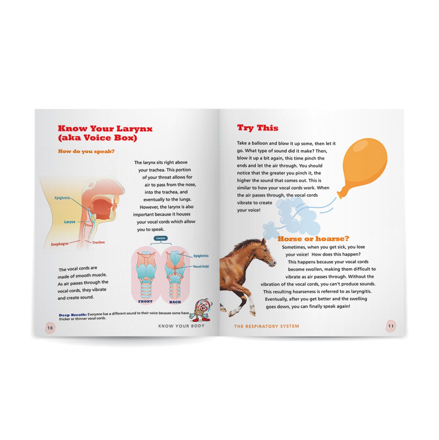 Know Your Body 6 Book Bundle