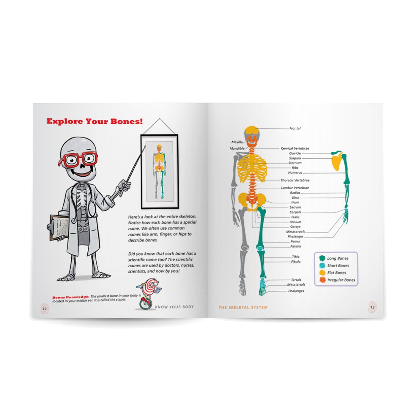 Know Your Body 6 Book Bundle