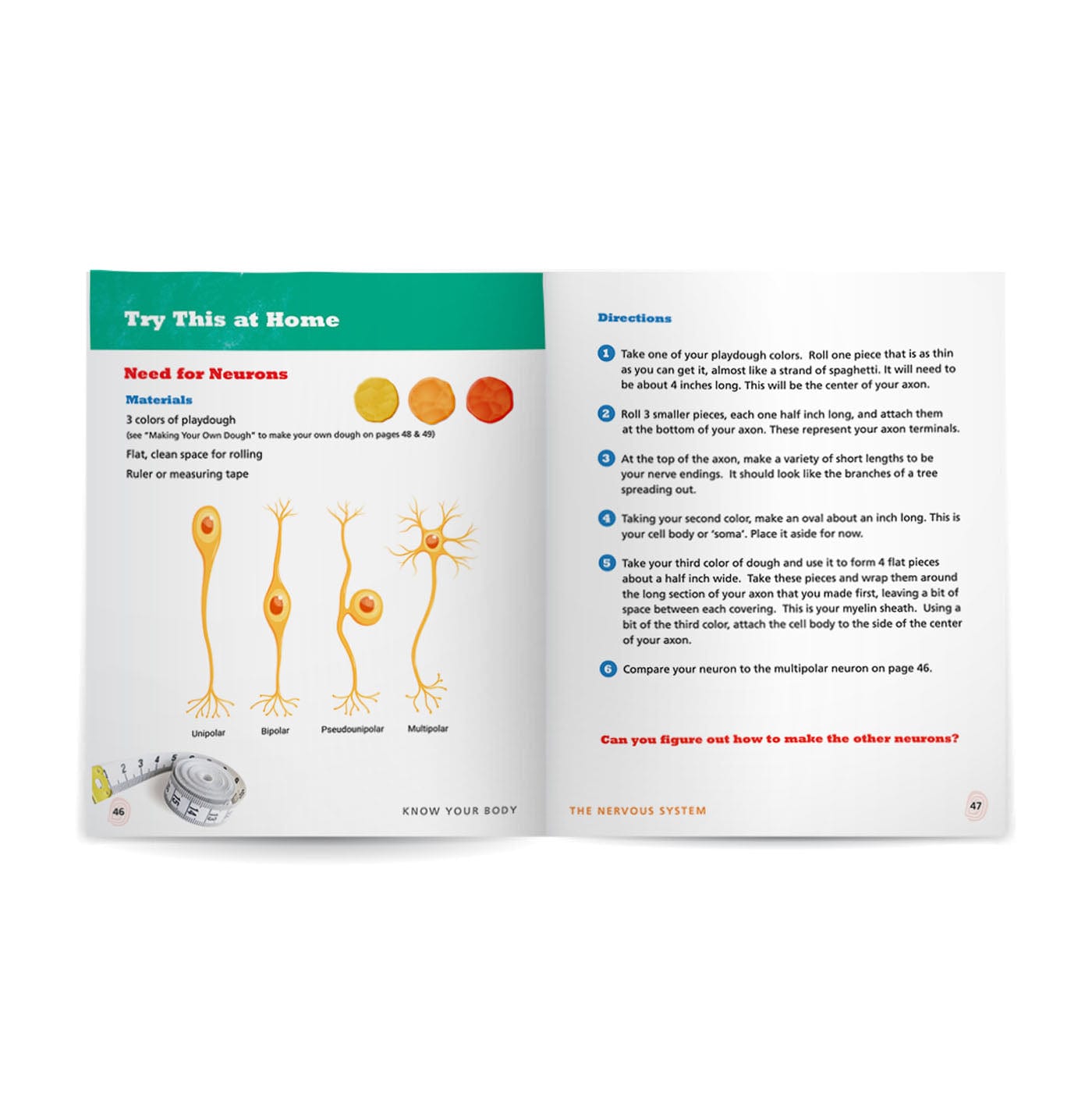 Know Your Body 6 Book Bundle